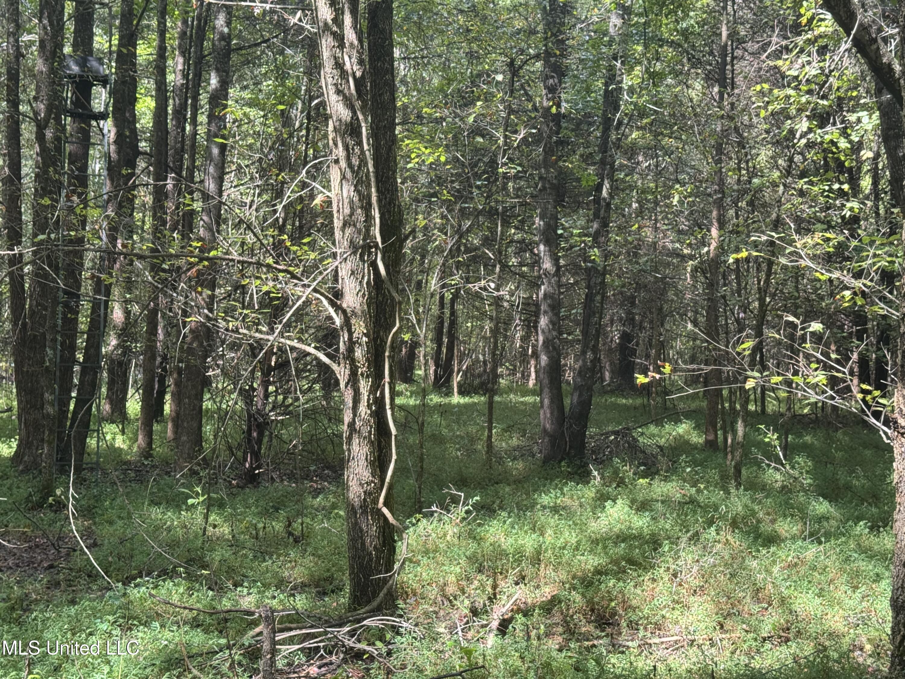 0 Cooperlow Road Property Photo 17
