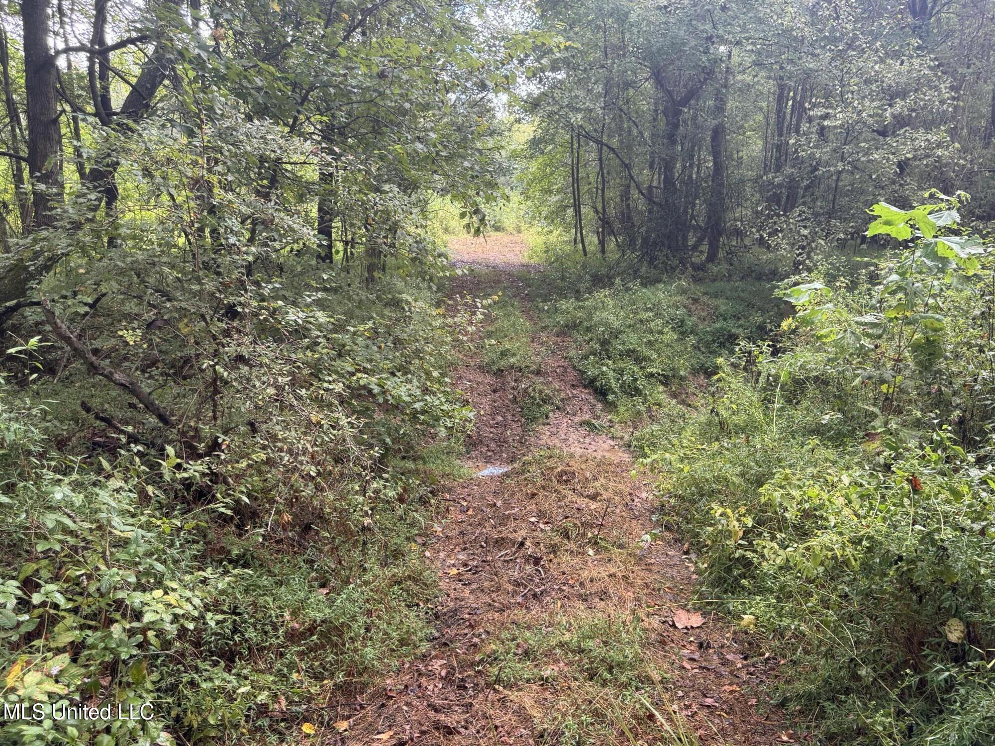 0 Cooperlow Road Property Photo 18