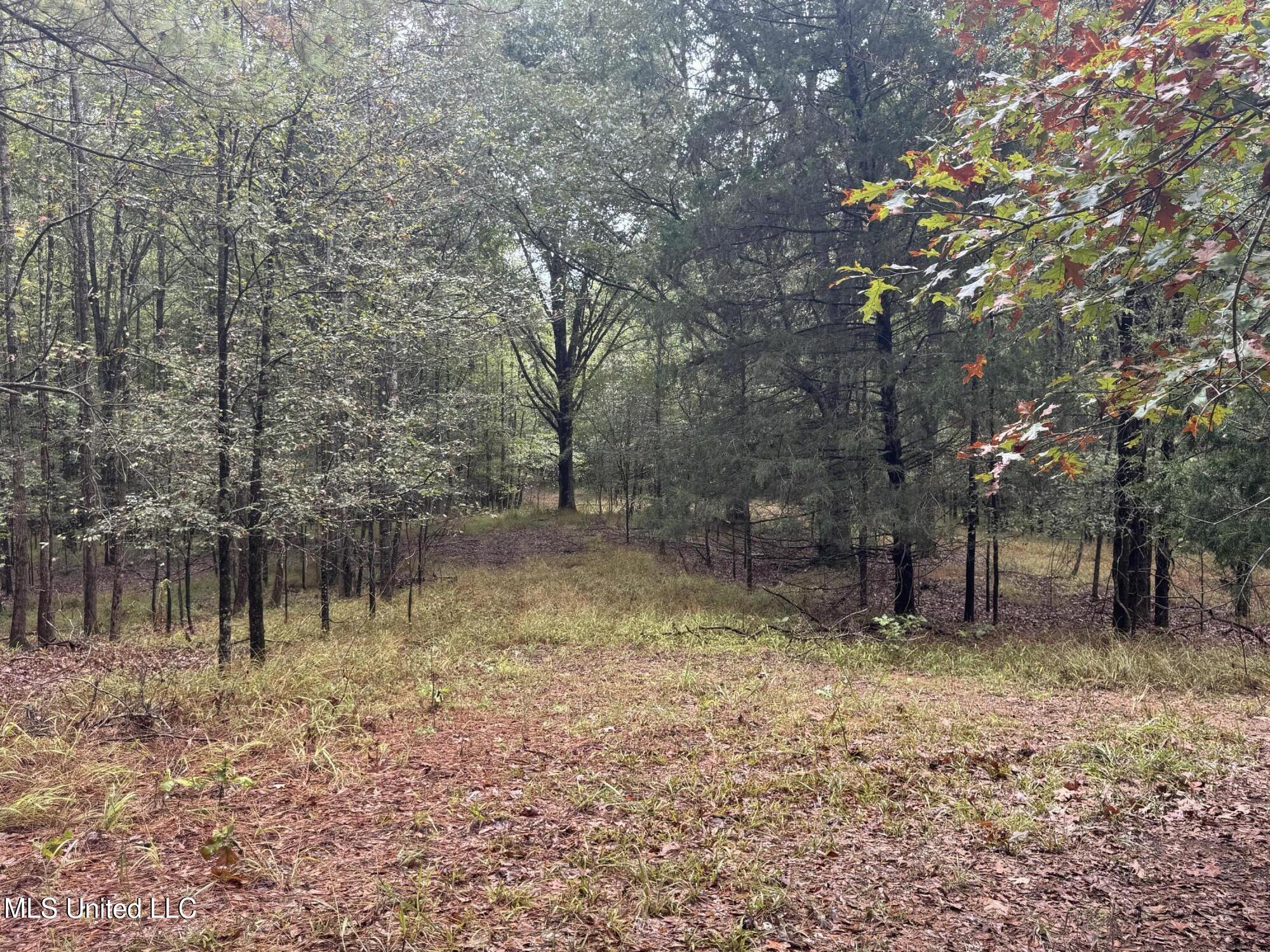 0 Cooperlow Road Property Photo 20