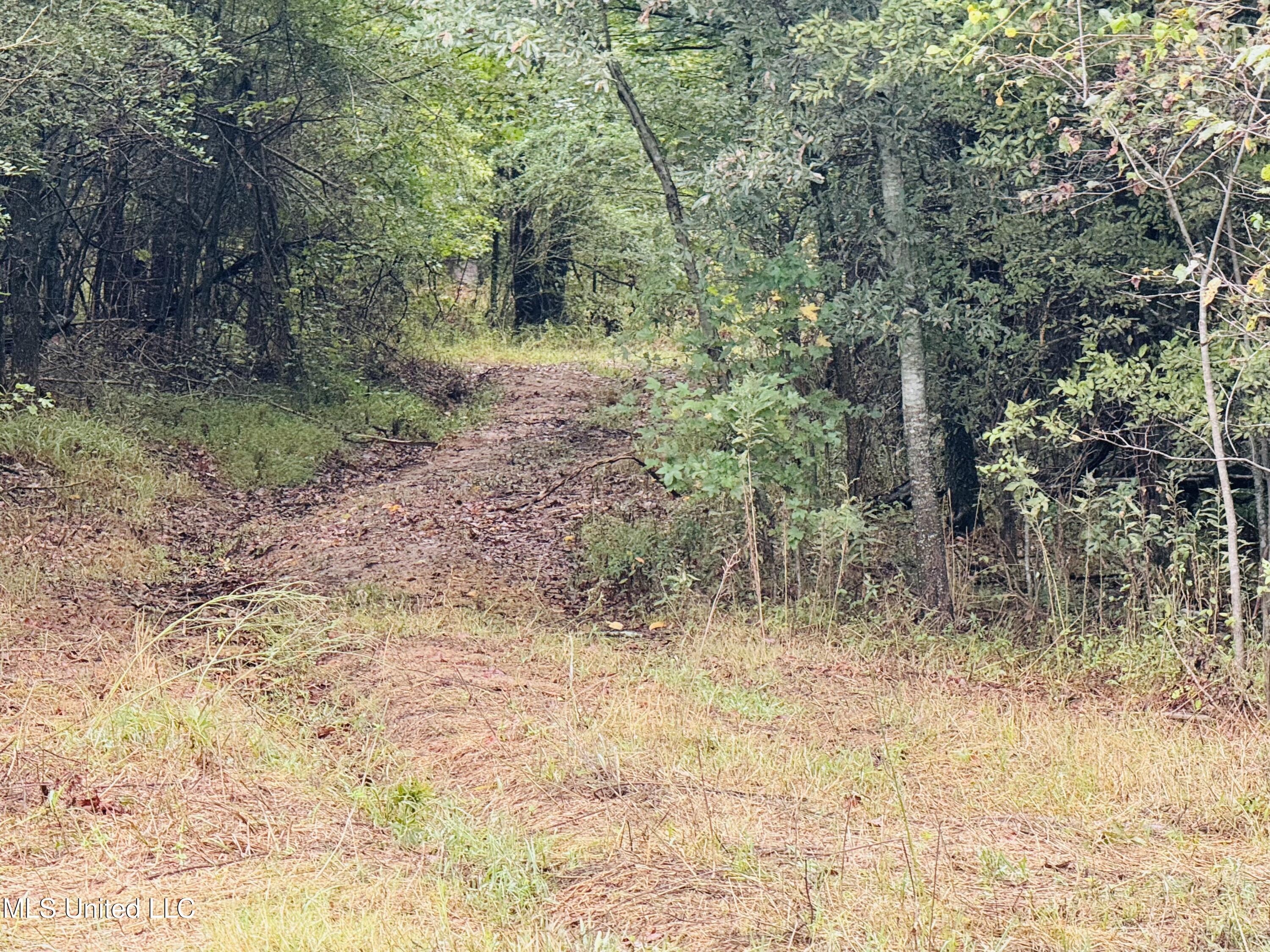 0 Cooperlow Road Property Photo 21
