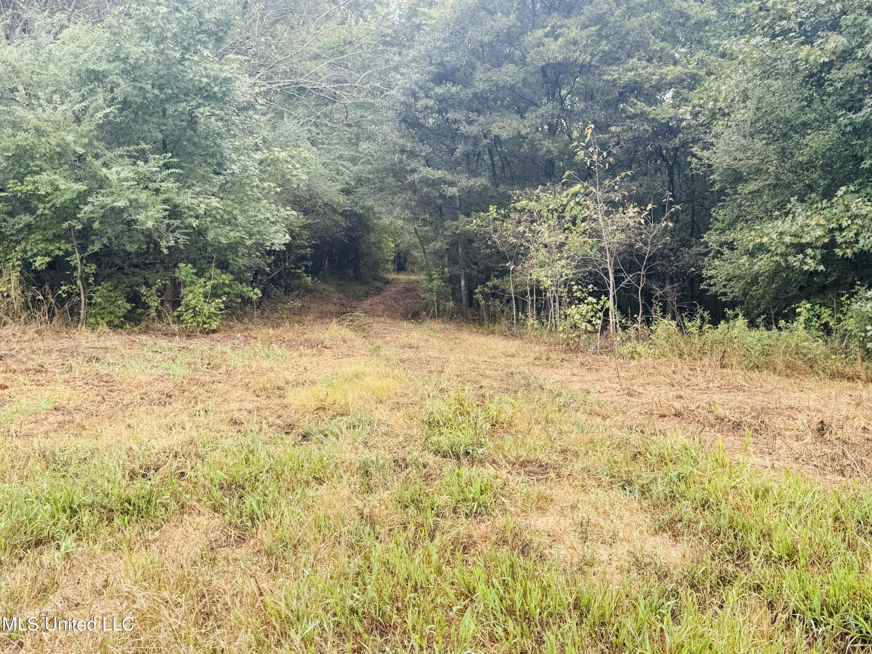 0 Cooperlow Road Property Photo 22