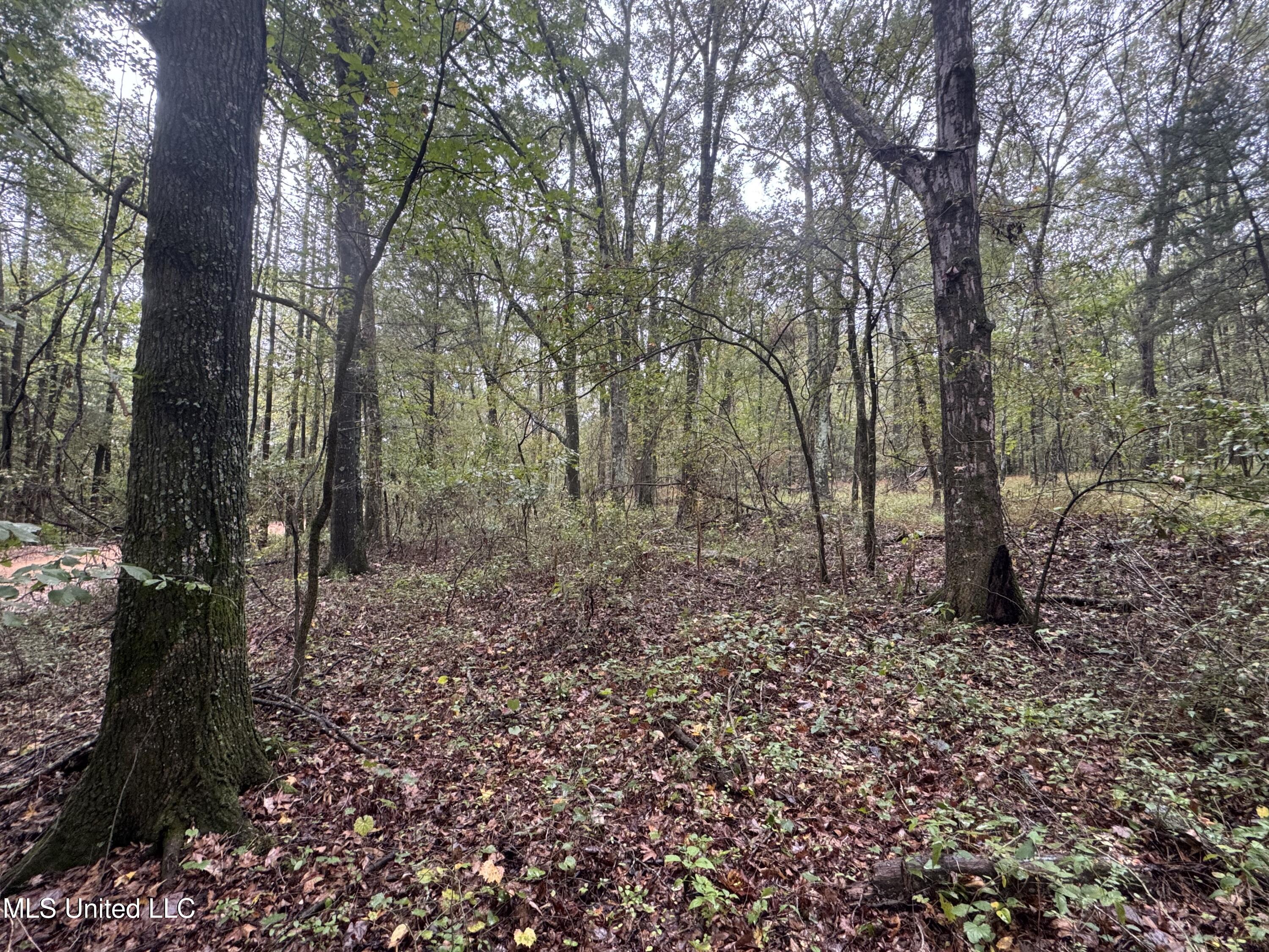 0 Cooperlow Road Property Photo 25