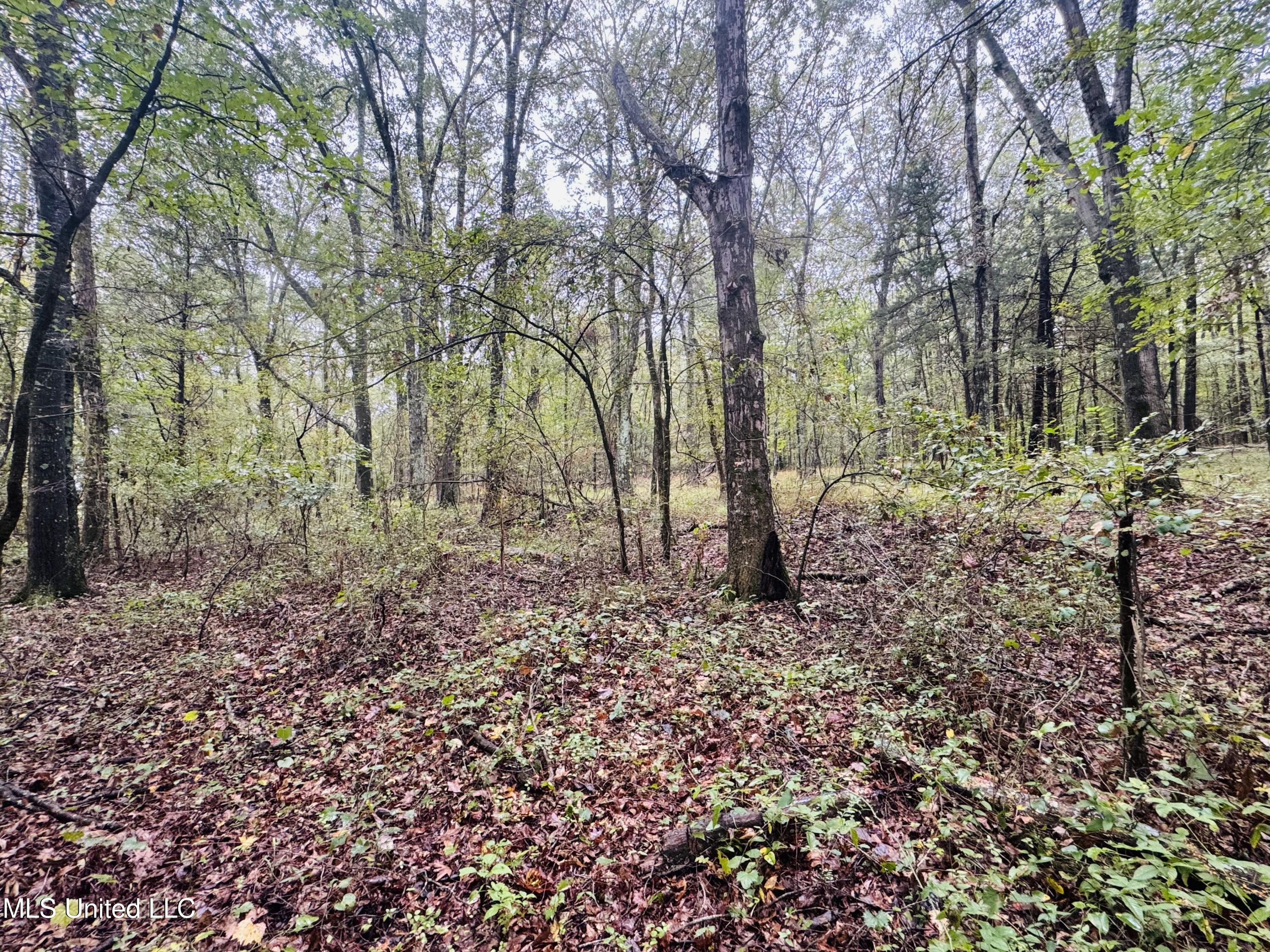 0 Cooperlow Road Property Photo 26