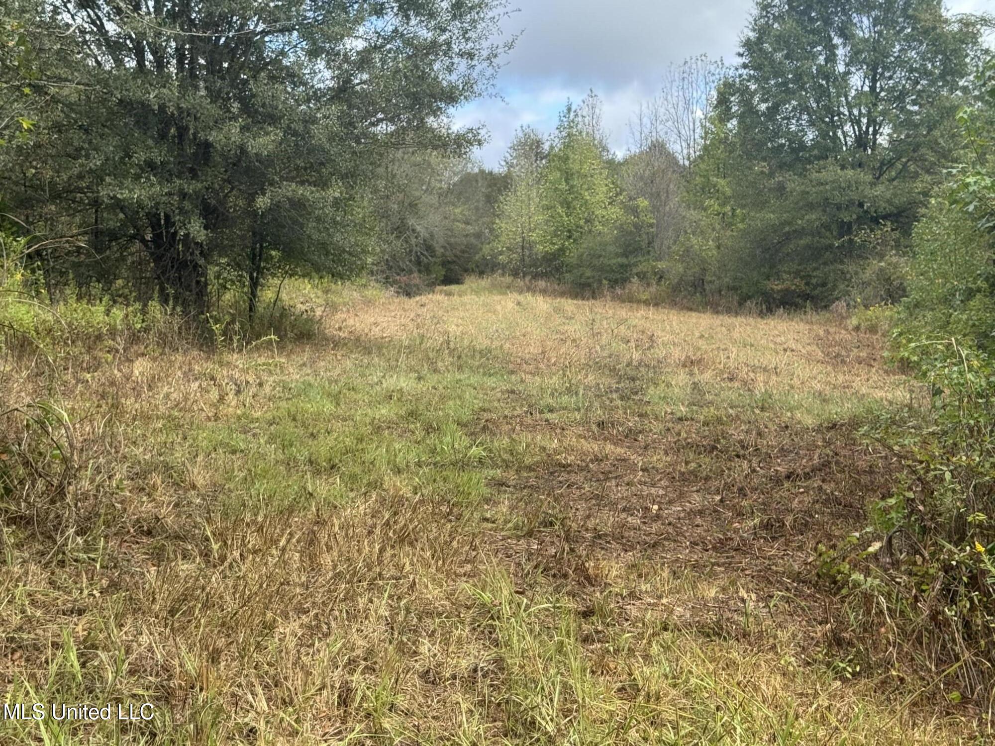 0 Cooperlow Road Property Photo 28