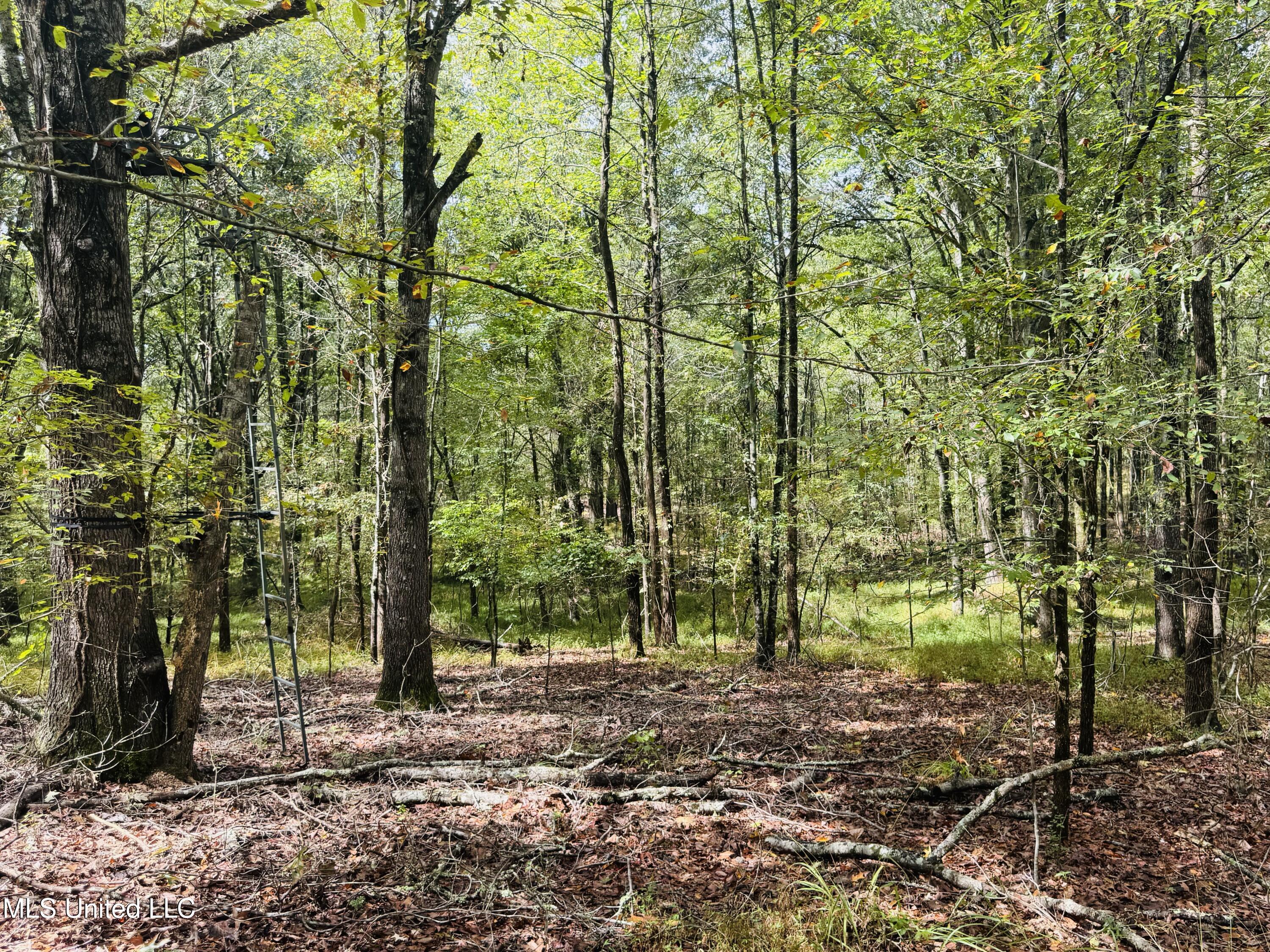 0 Cooperlow Road Property Photo 31