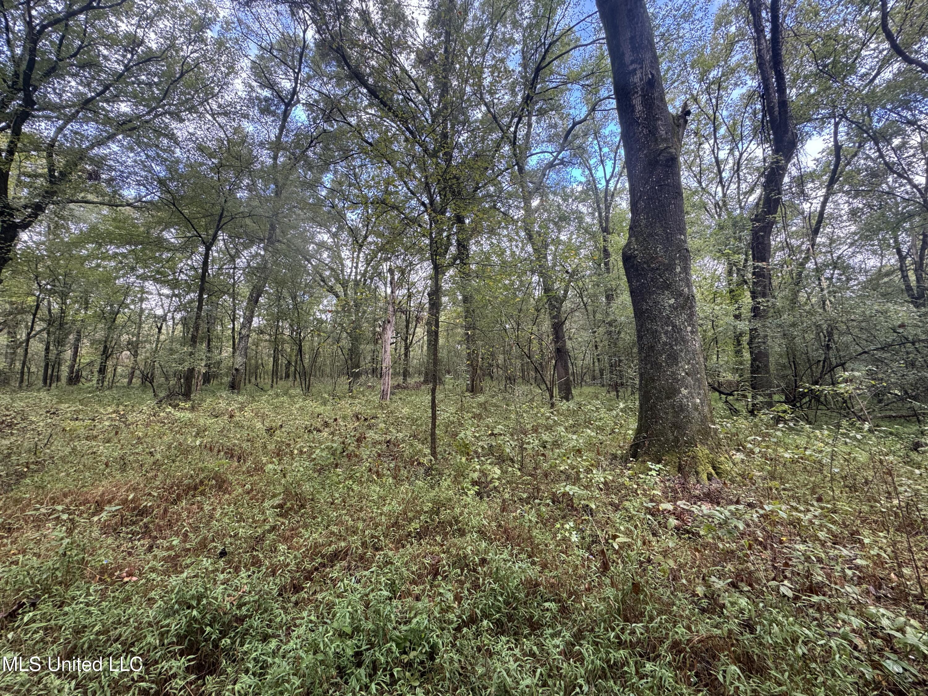 0 Cooperlow Road Property Photo 32