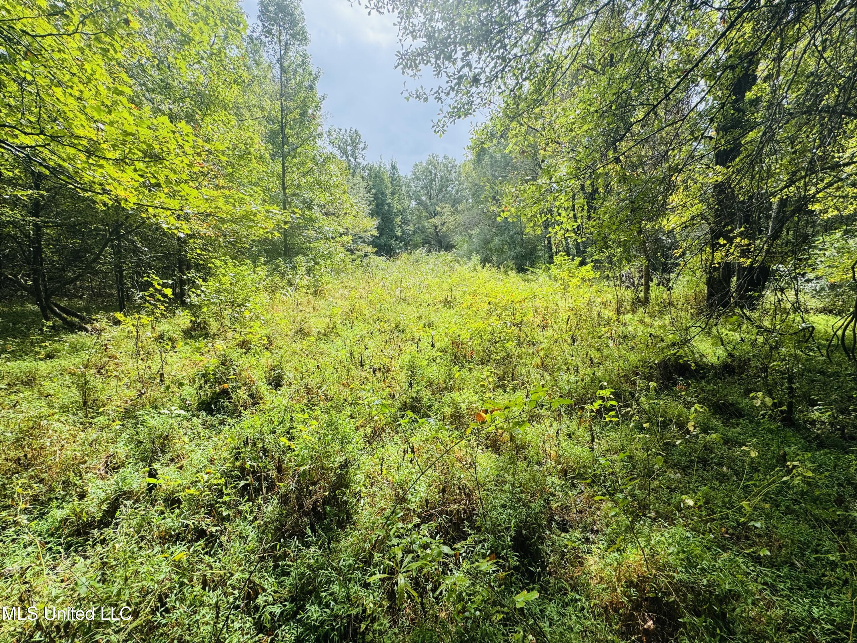 0 Cooperlow Road Property Photo 33