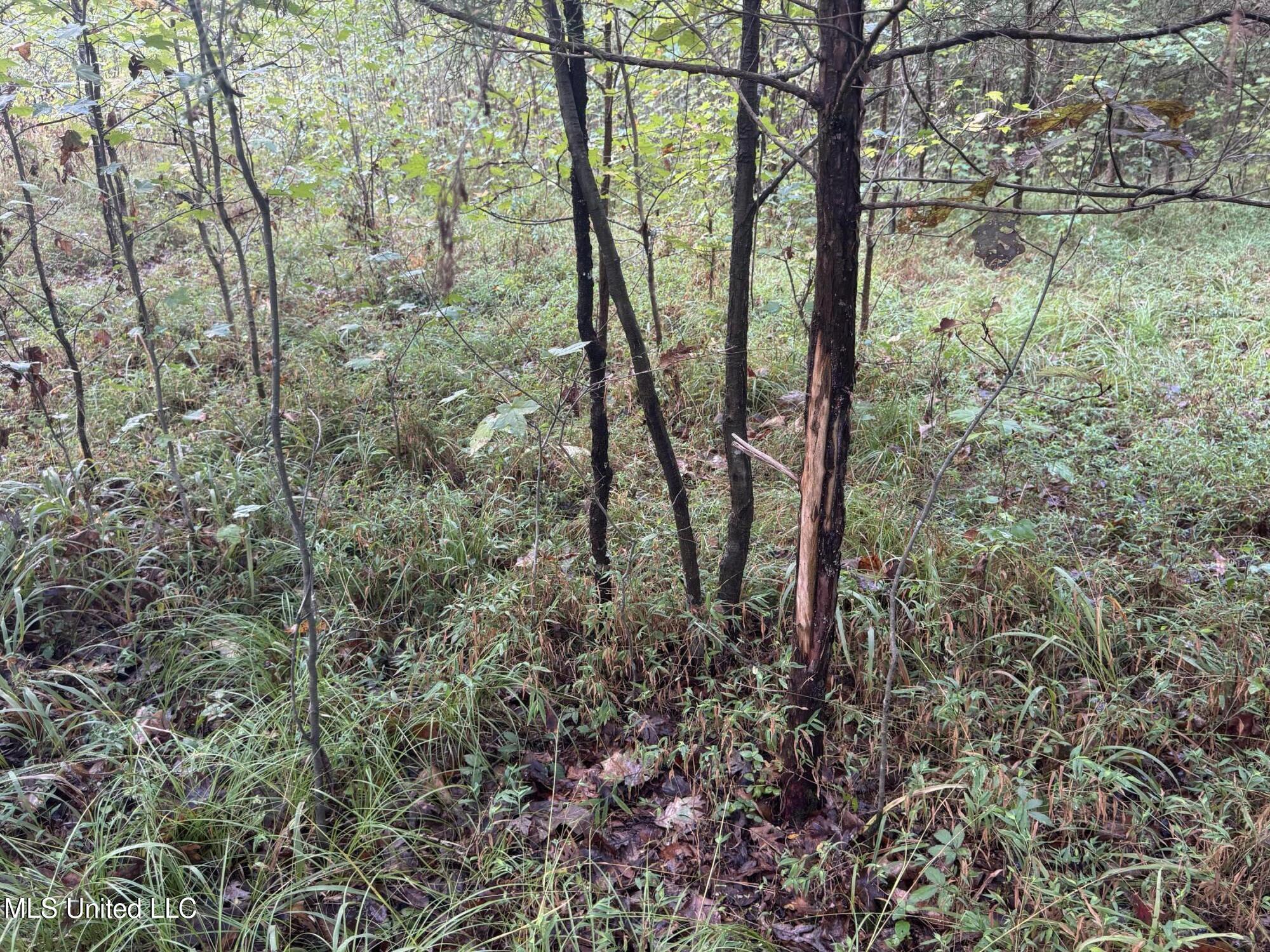 0 Cooperlow Road Property Photo 35