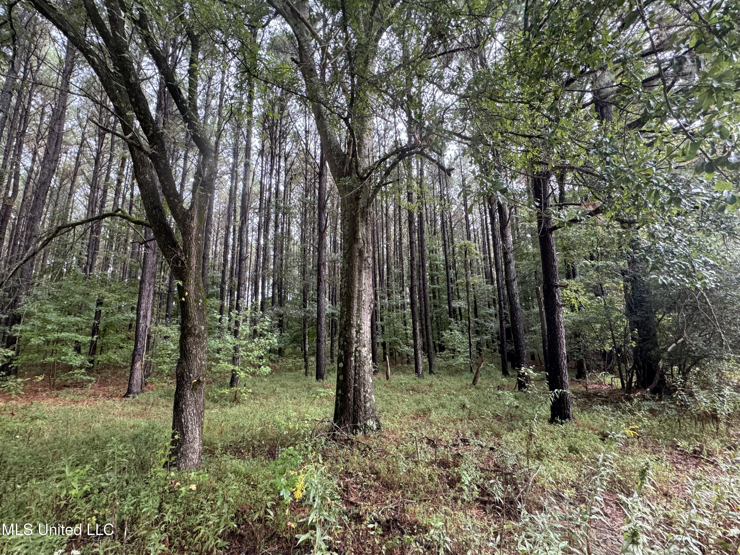 0 Cooperlow Road Property Photo 38
