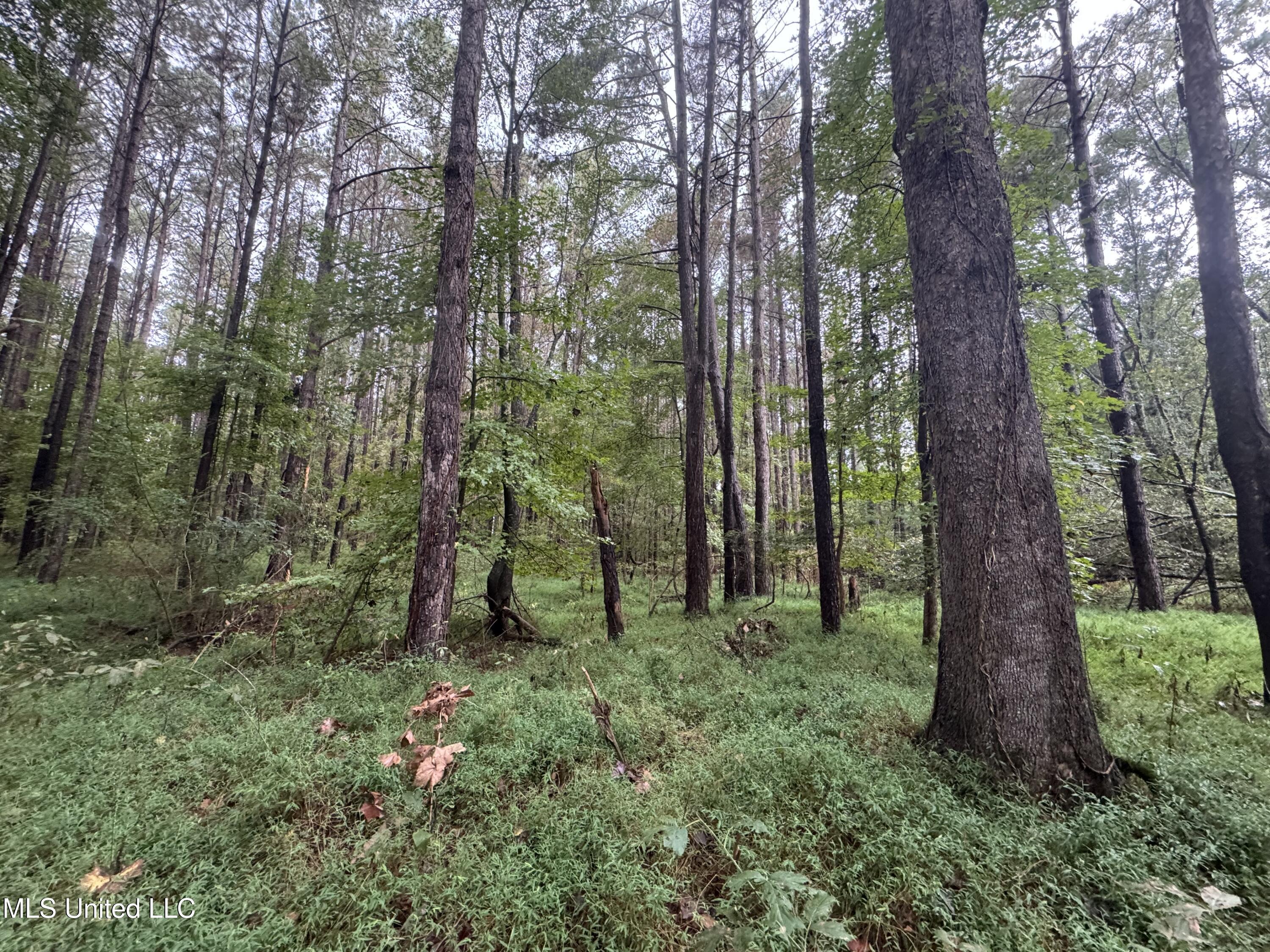 0 Cooperlow Road Property Photo 39
