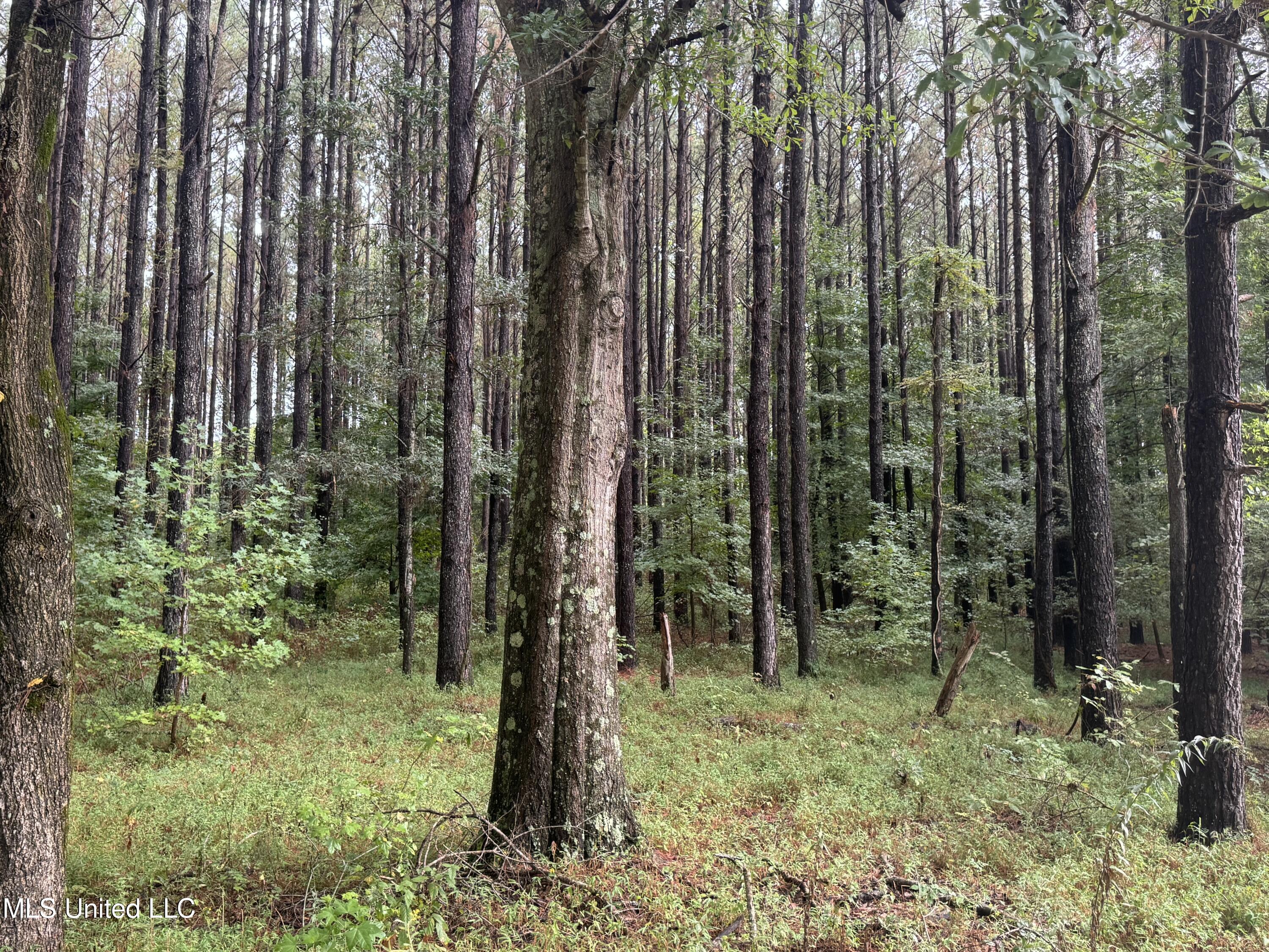 0 Cooperlow Road Property Photo 40