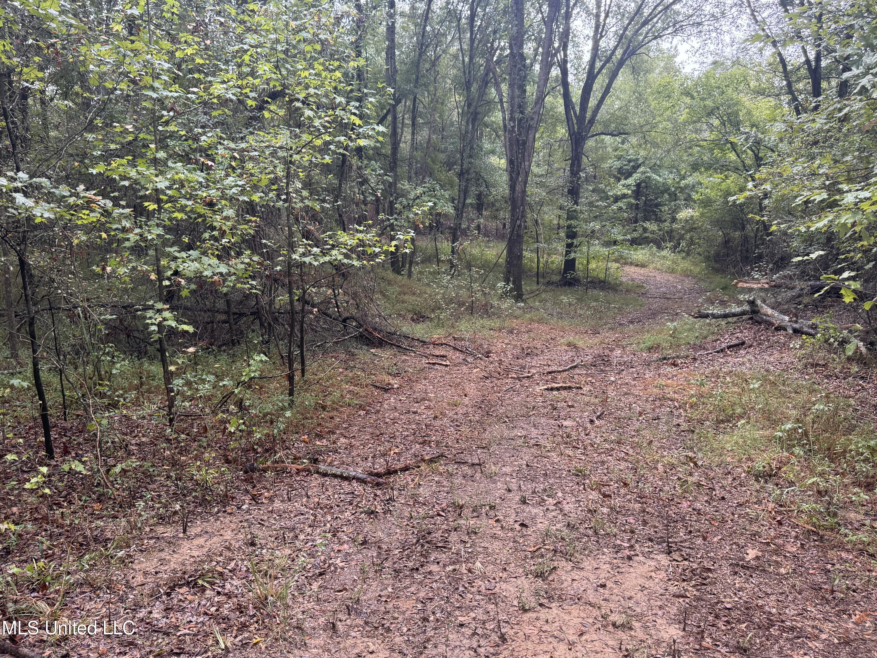 0 Cooperlow Road Property Photo 41