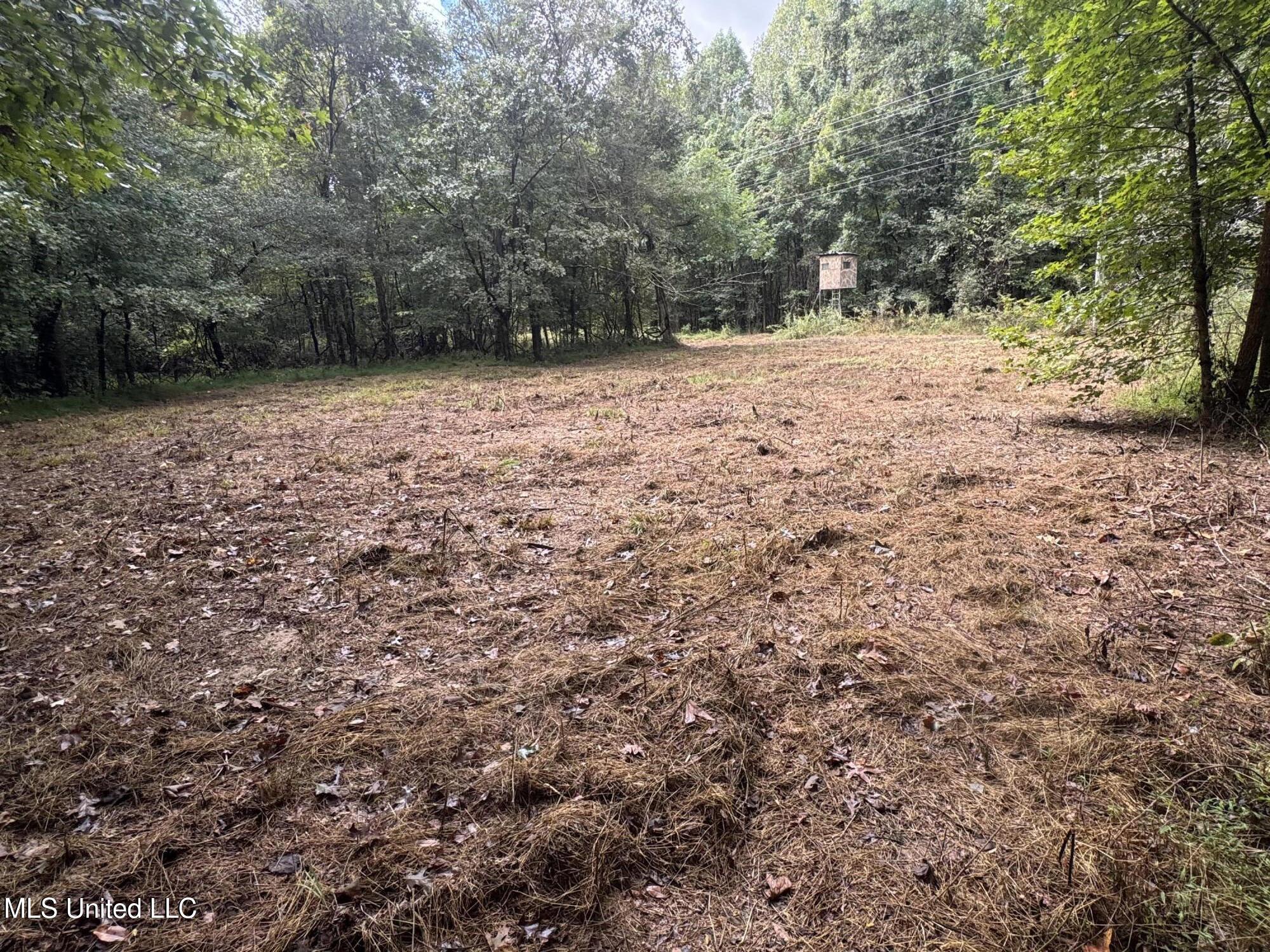 0 Cooperlow Road Property Photo 45