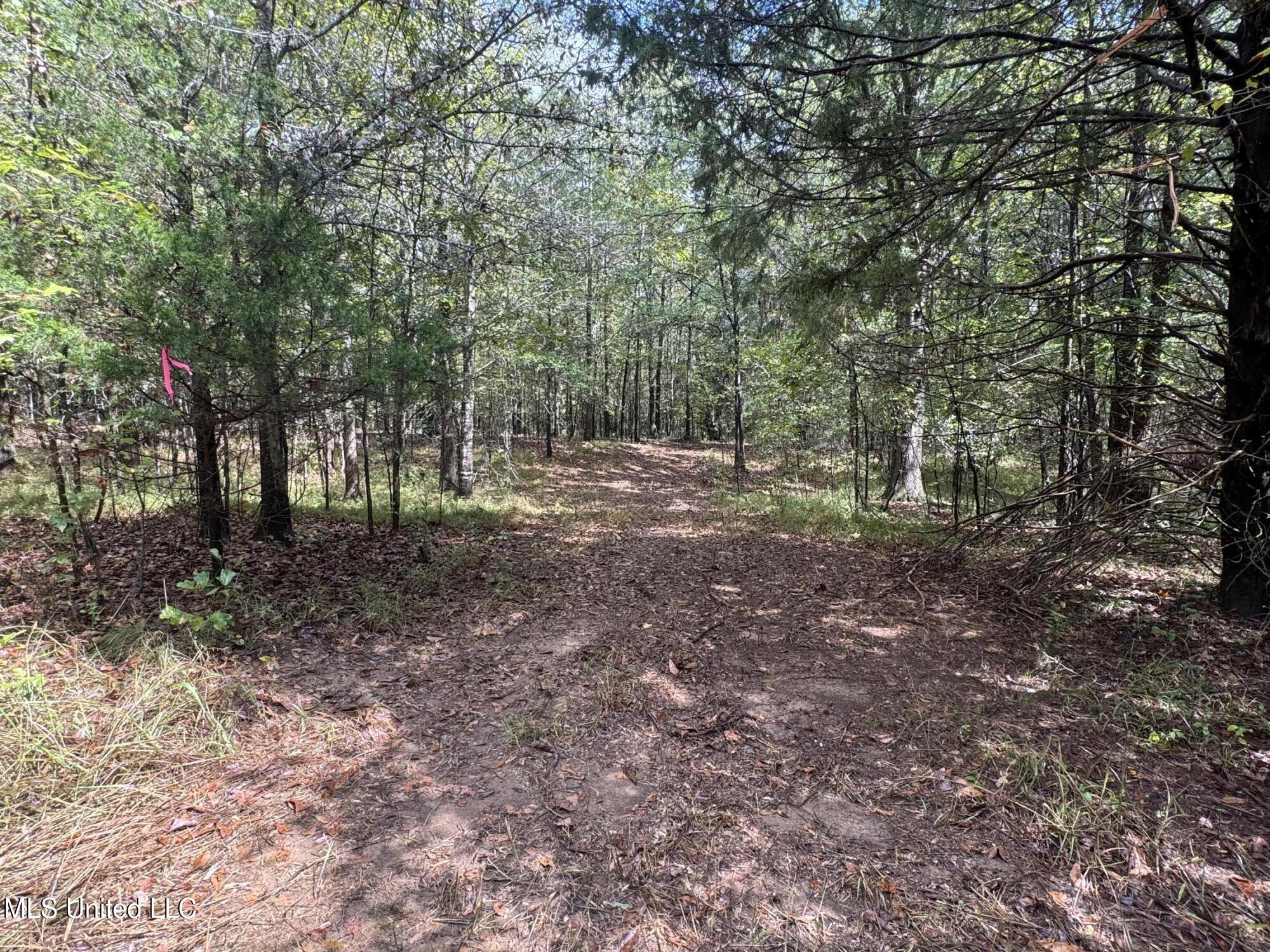 0 Cooperlow Road Property Photo 46