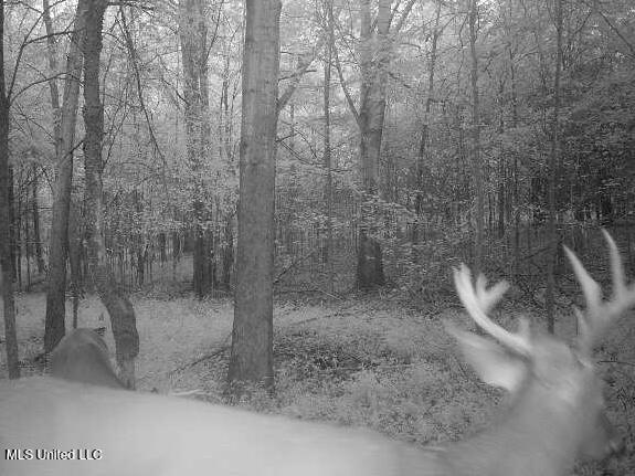 0 Cooperlow Road Property Photo 56