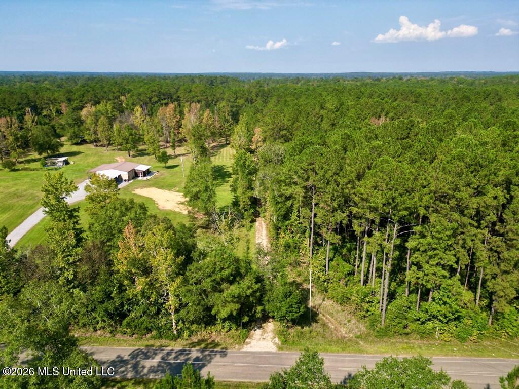 21.79 Acre Homer Ladner Road Property Photo 2