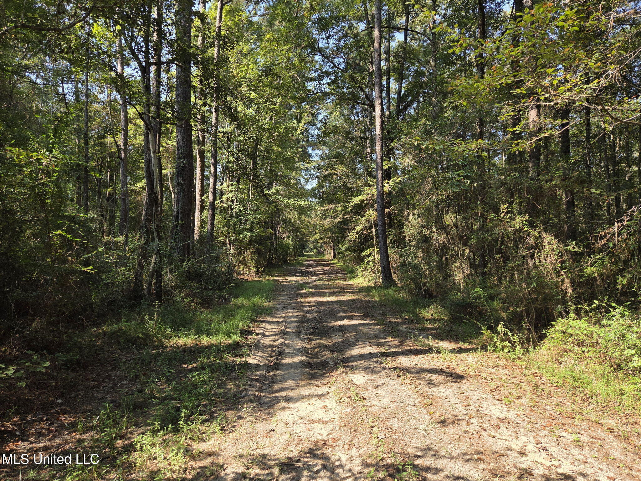 21.79 Acre Homer Ladner Road Property Photo 3