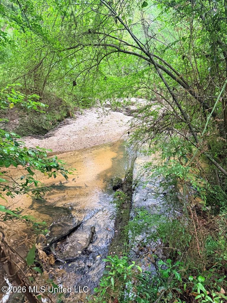 21.79 Acre Homer Ladner Road Property Photo 5