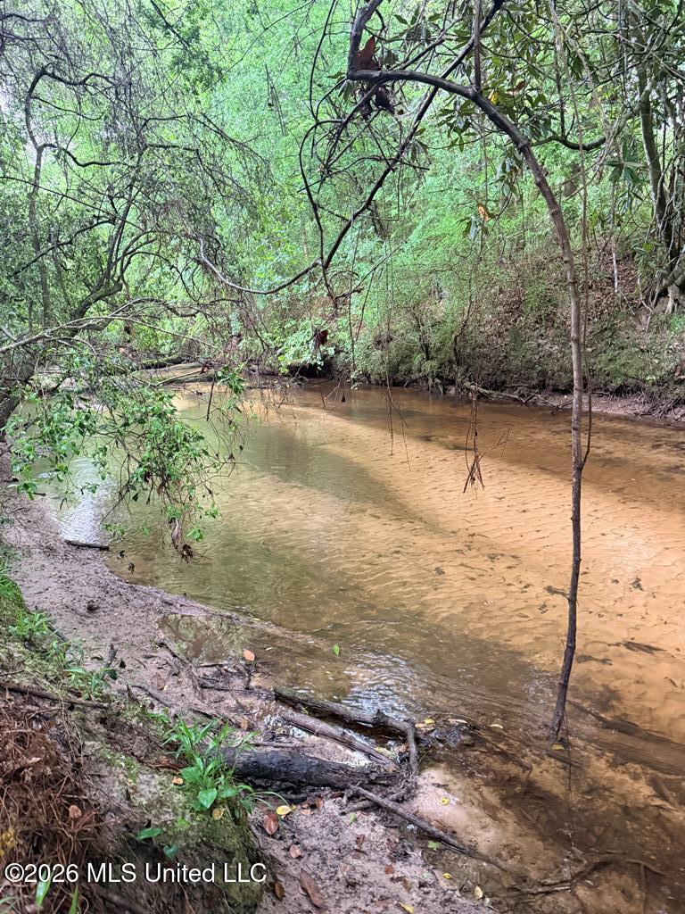 21.79 Acre Homer Ladner Road Property Photo 6