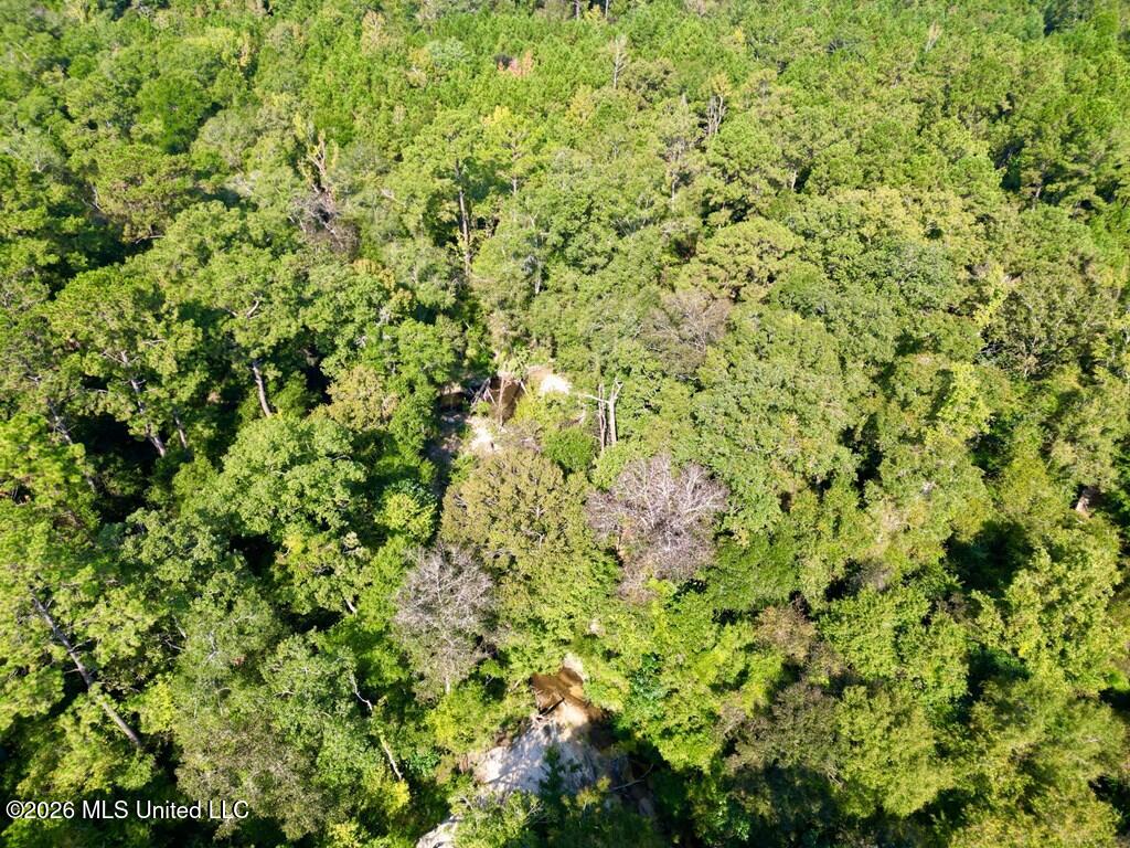 21.79 Acre Homer Ladner Road Property Photo 7