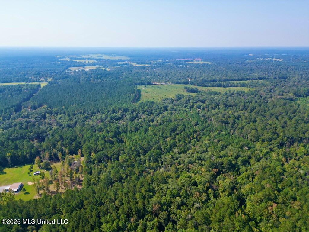 21.79 Acre Homer Ladner Road Property Photo 8
