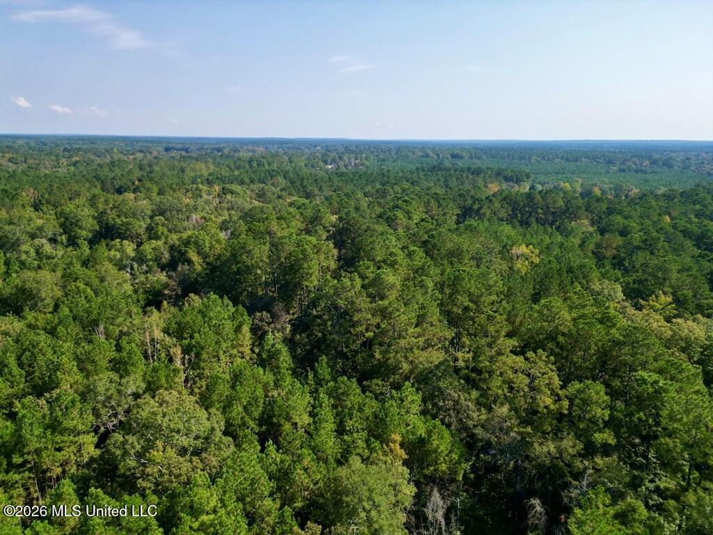 21.79 Acre Homer Ladner Road Property Photo 9