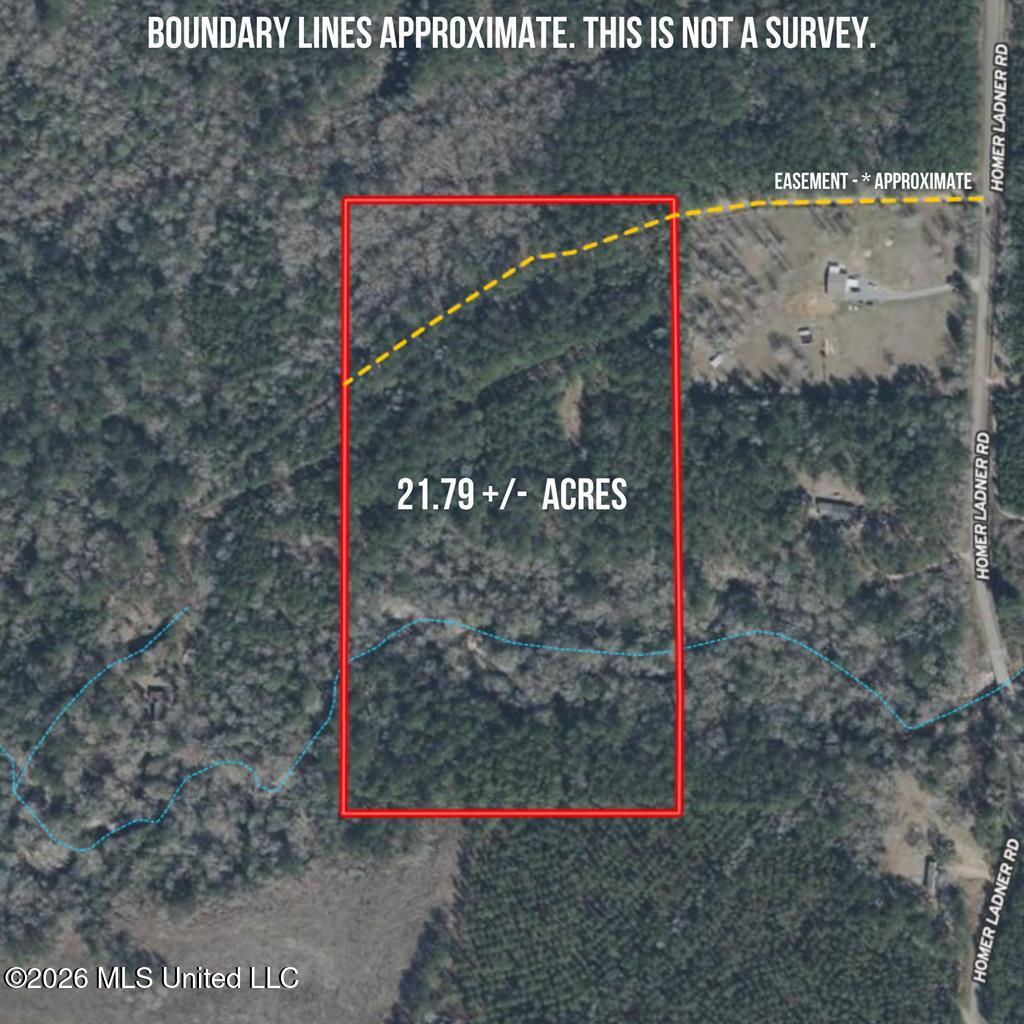 21.79 Acre Homer Ladner Road Property Photo 10