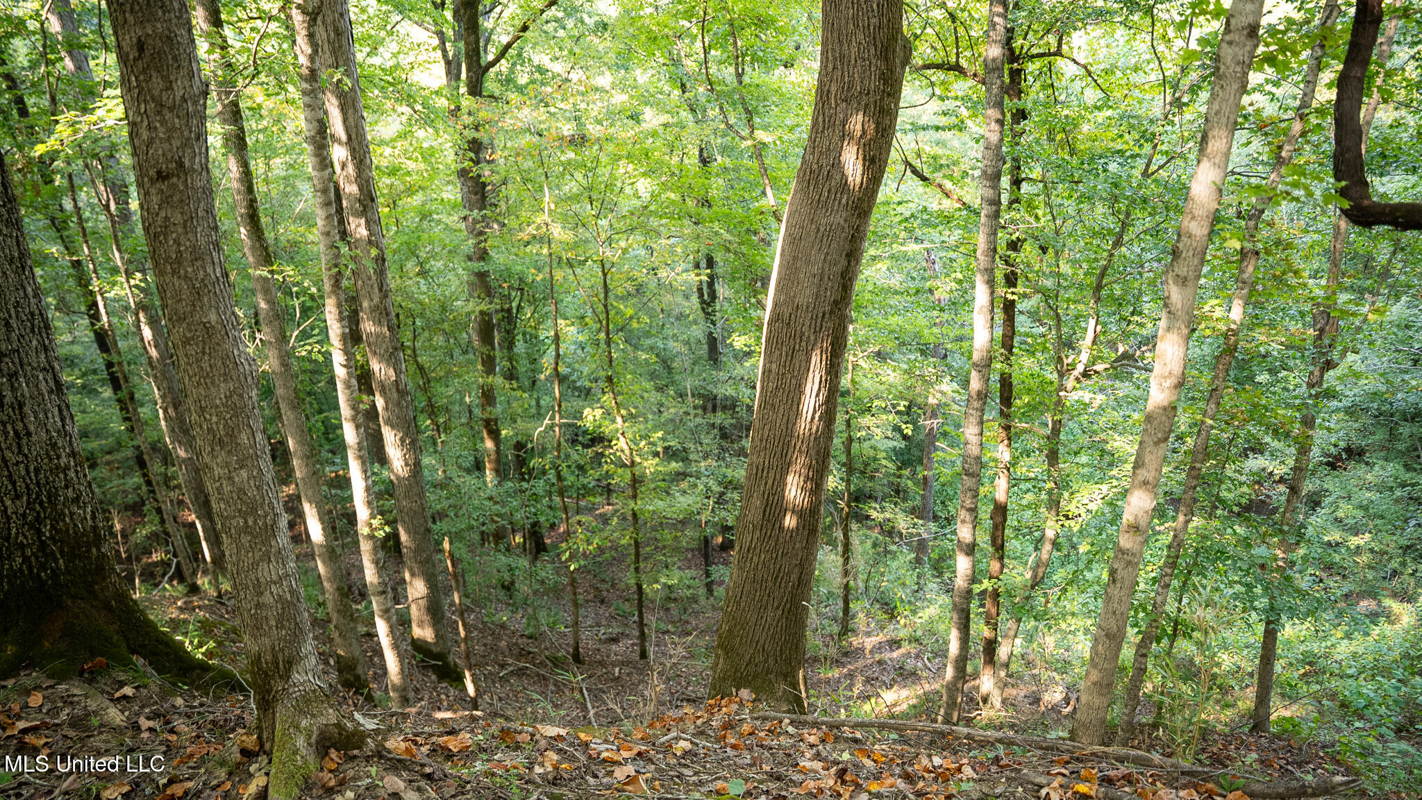 1912 Poplar Springs Road Property Photo 18