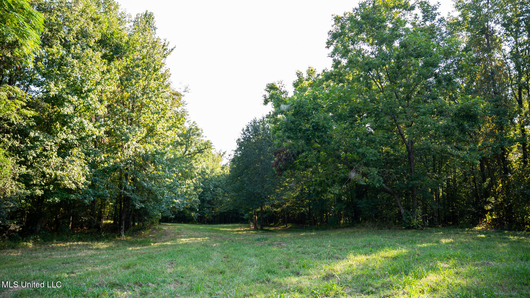 1912 Poplar Springs Road Property Photo 23