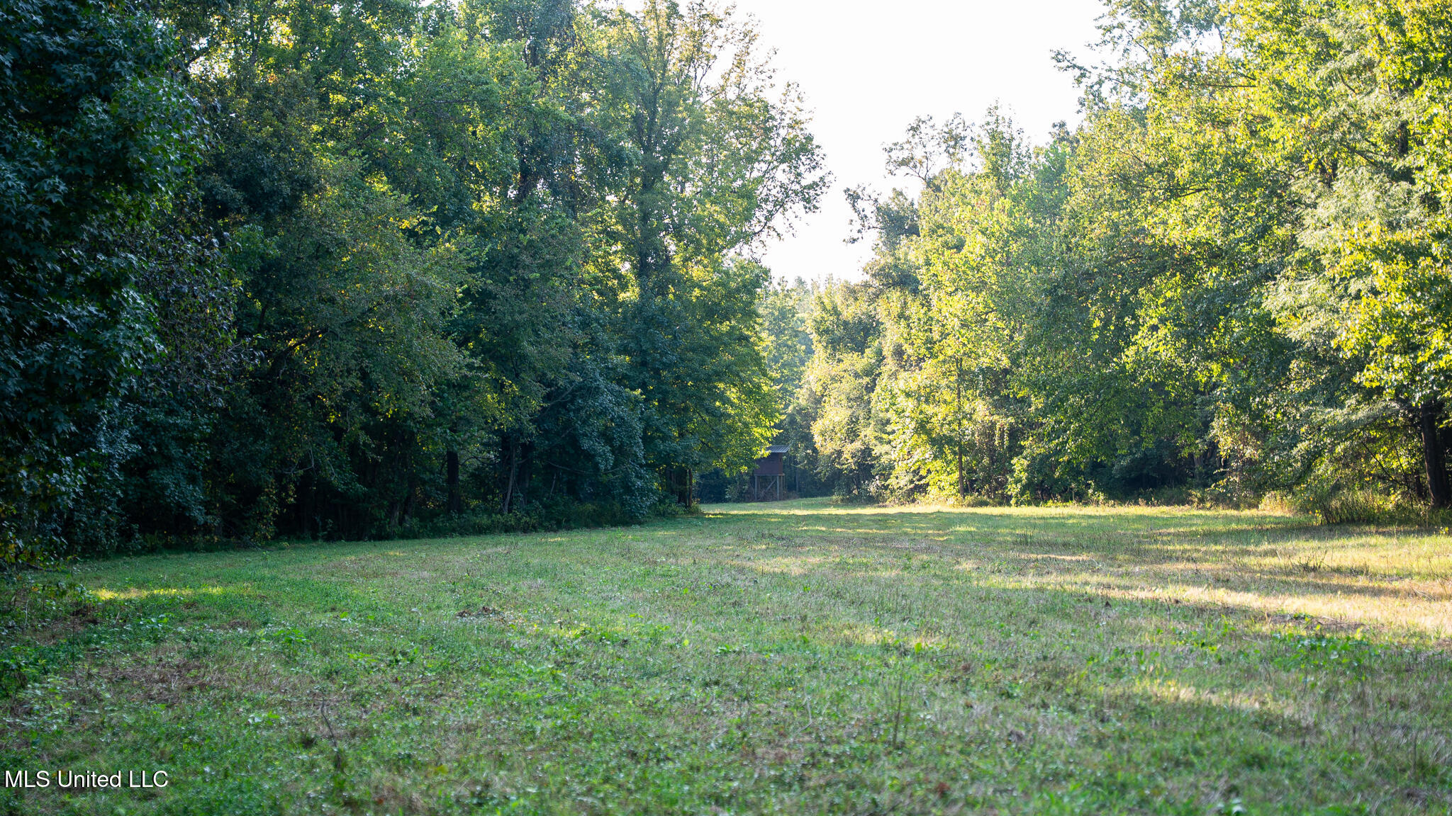 1912 Poplar Springs Road Property Photo 25