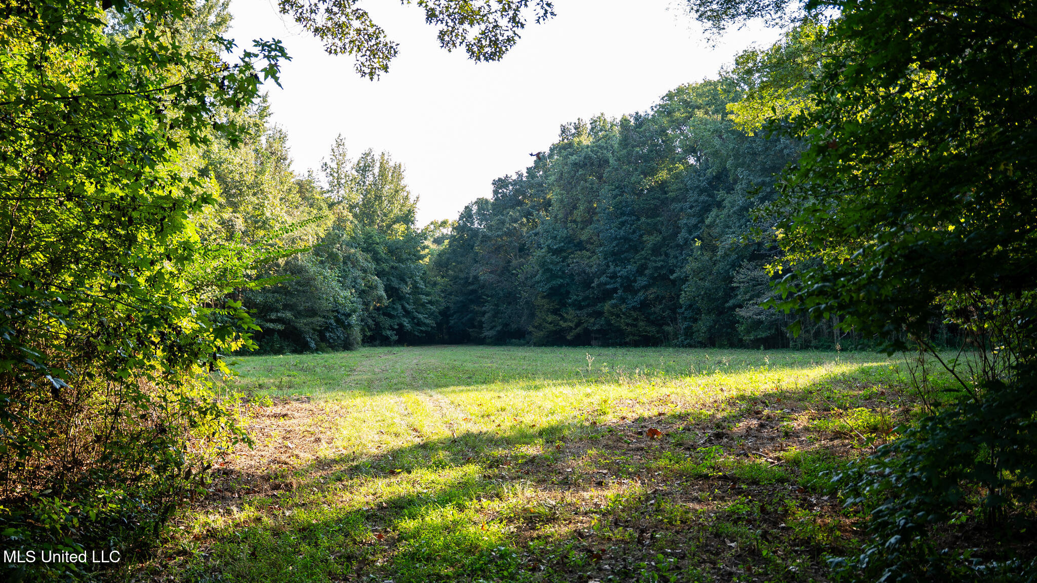 1912 Poplar Springs Road Property Photo 26