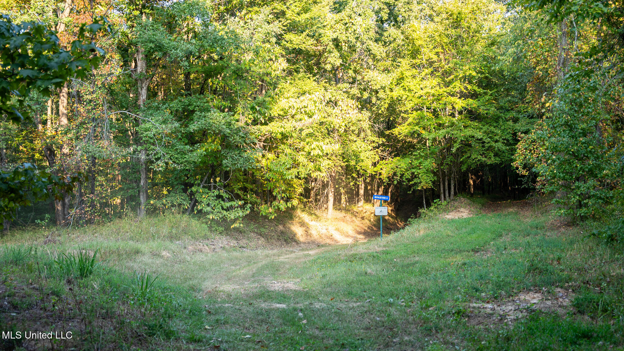 1912 Poplar Springs Road Property Photo 31