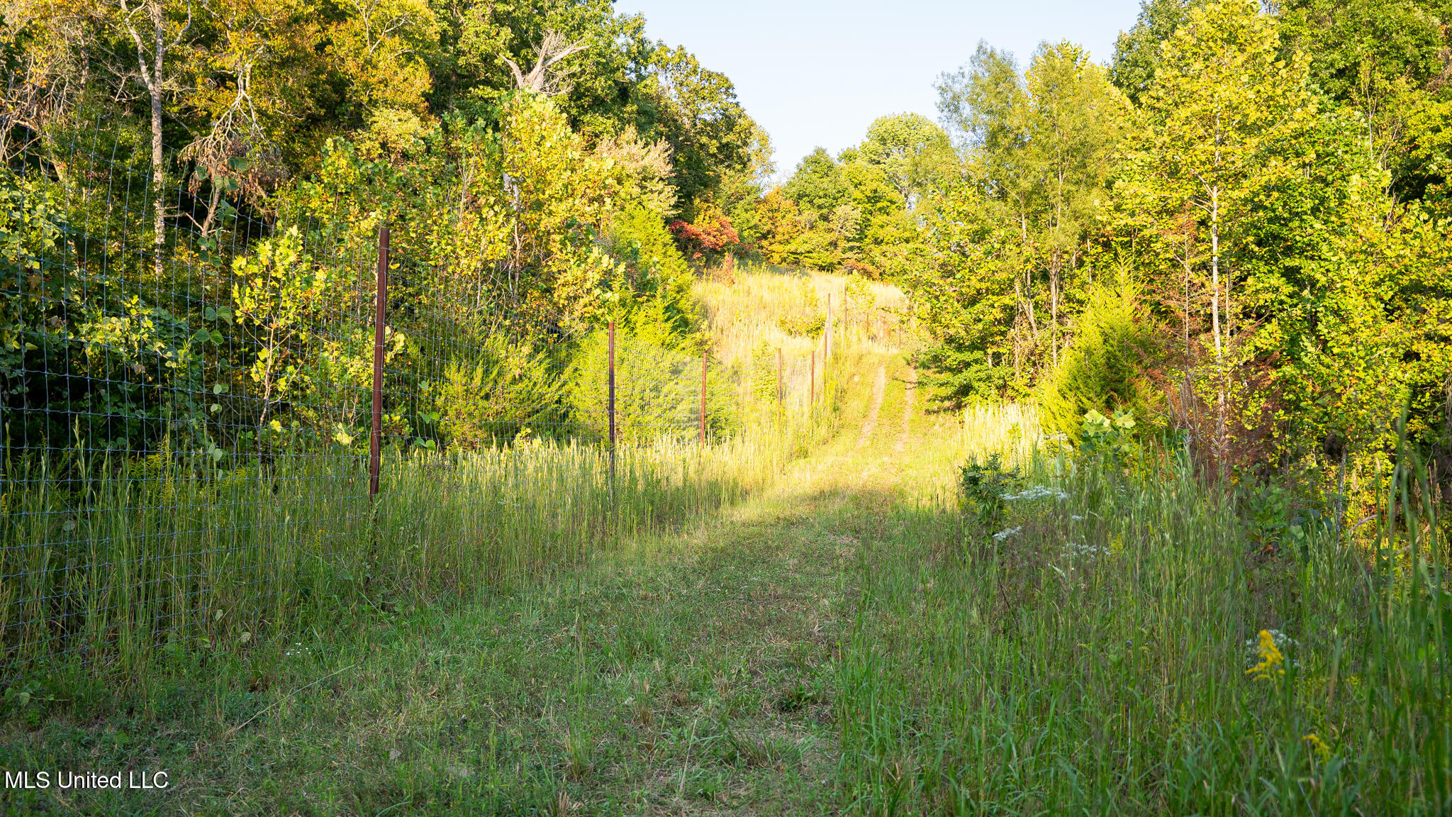 1912 Poplar Springs Road Property Photo 33