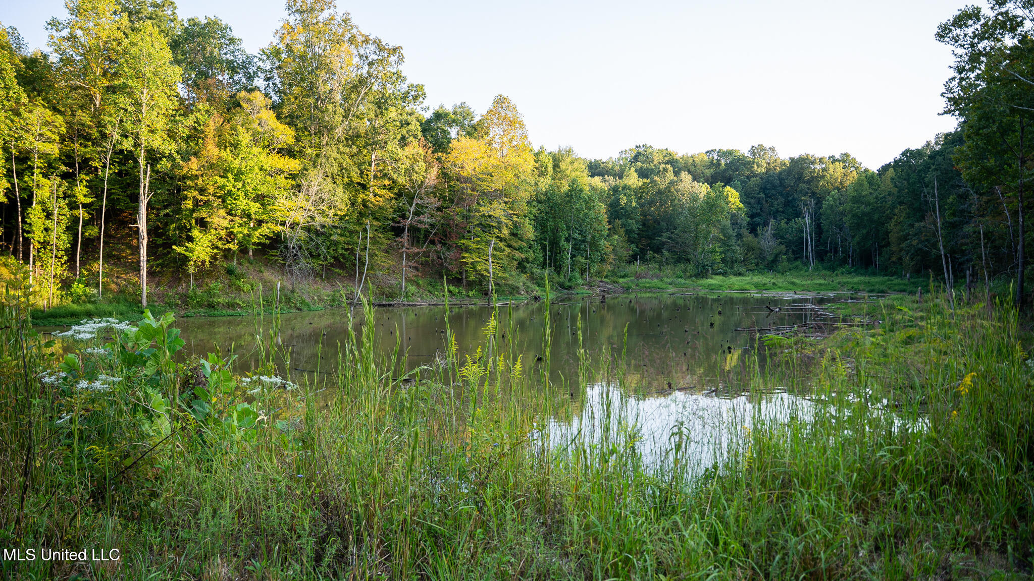 1912 Poplar Springs Road Property Photo 34