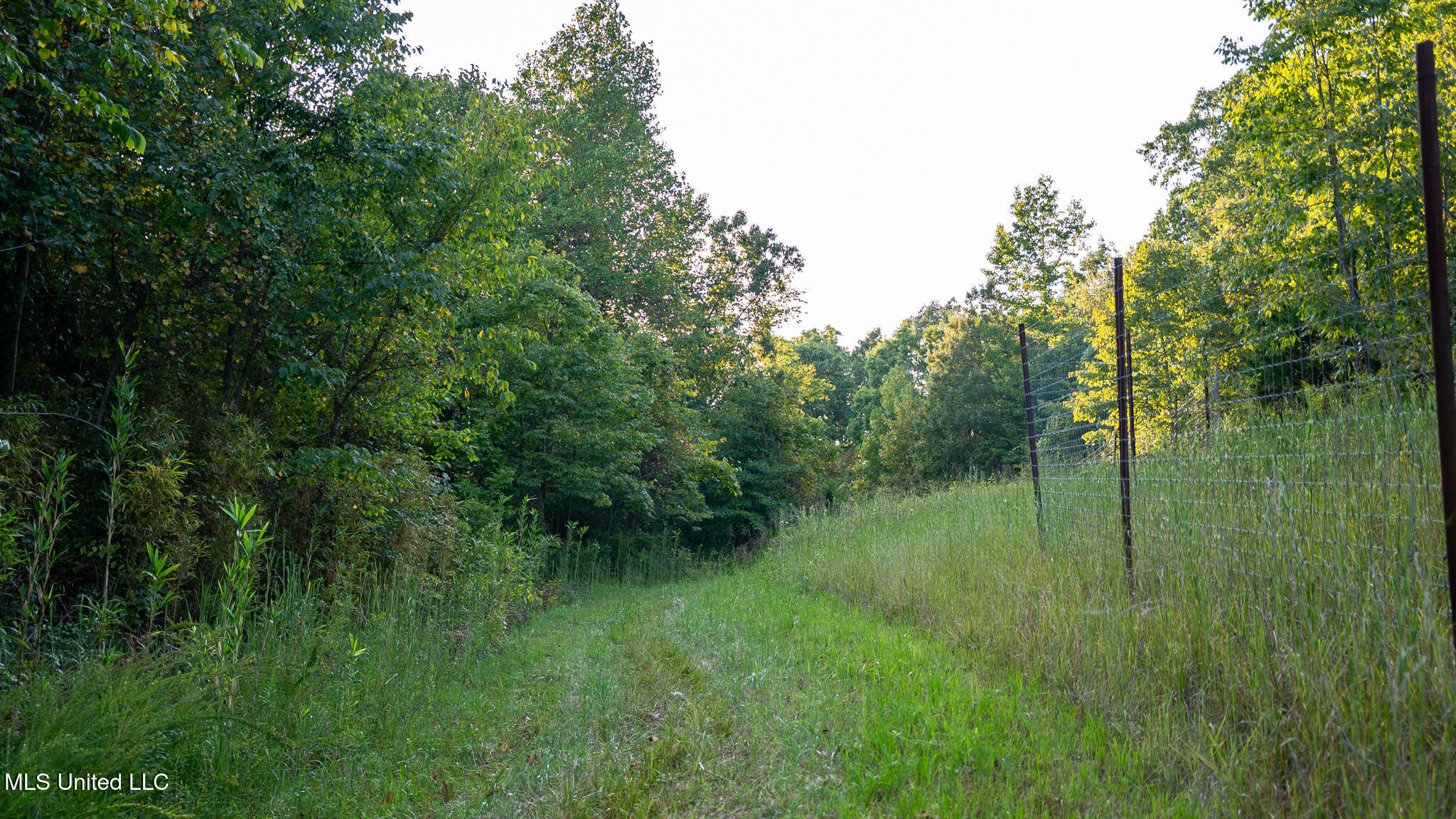 1912 Poplar Springs Road Property Photo 35