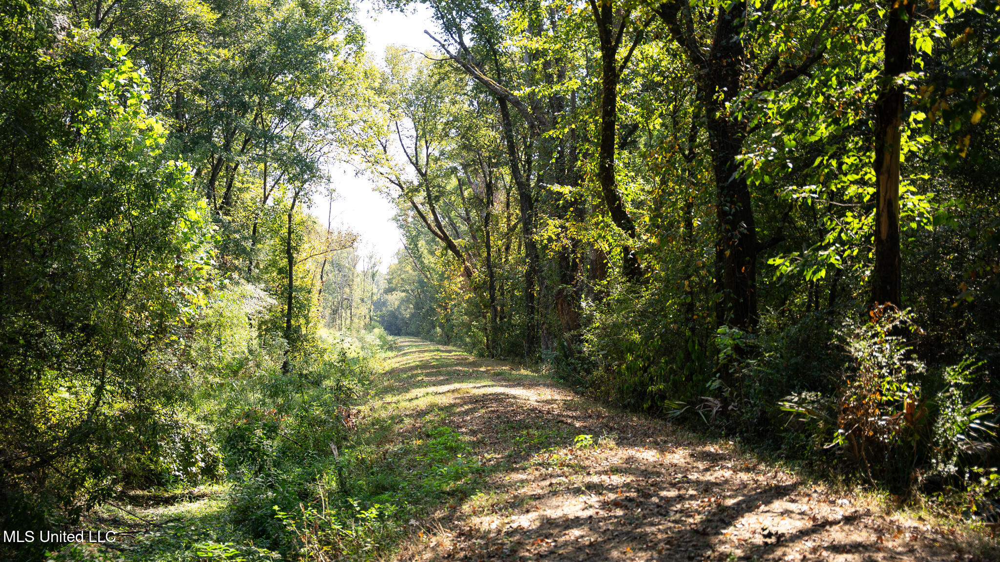 1912 Poplar Springs Road Property Photo 43