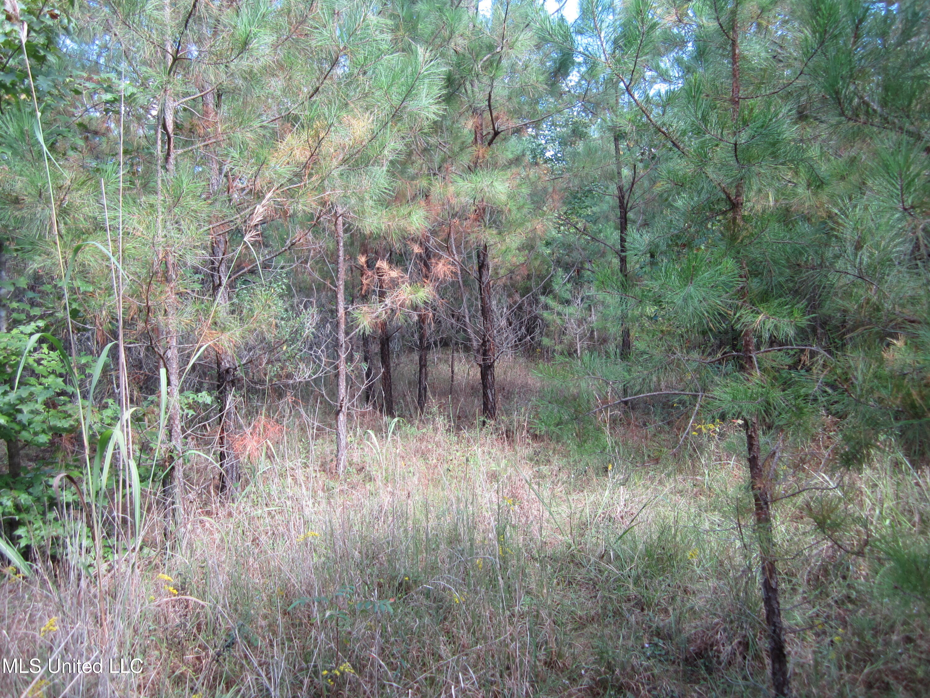 1356 Cr 180 Property Photo 20