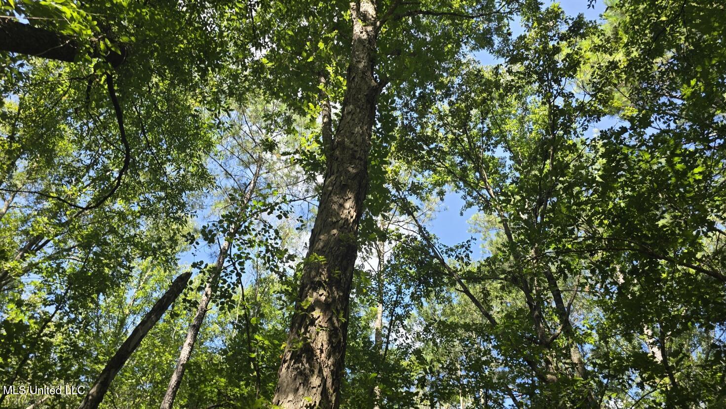 397 W Oakvale Road Property Photo 1