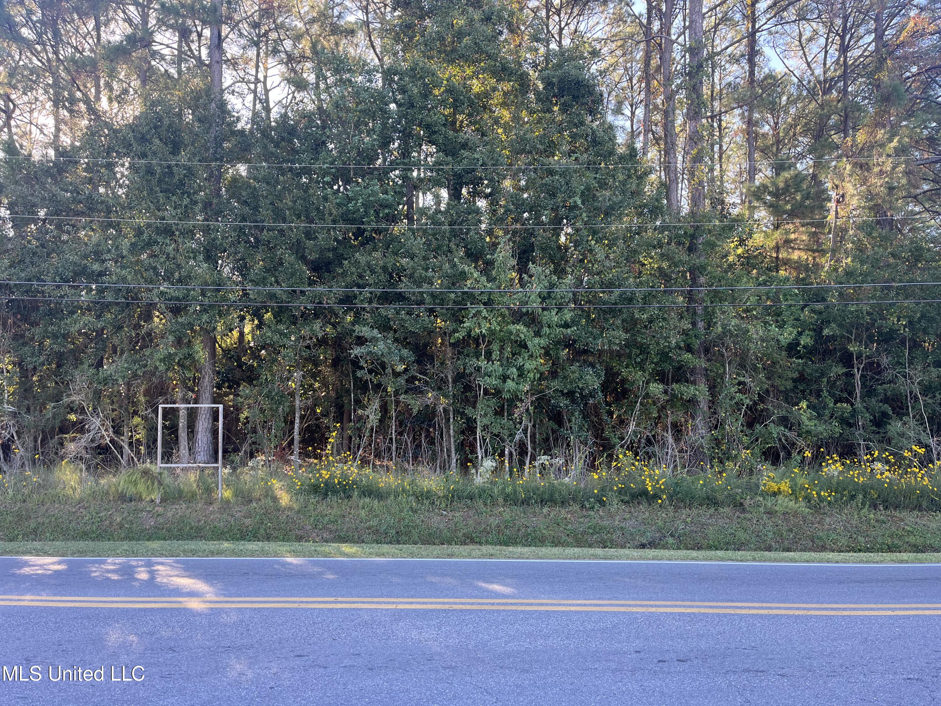 Nathan Hale Avenue Property Photo 2