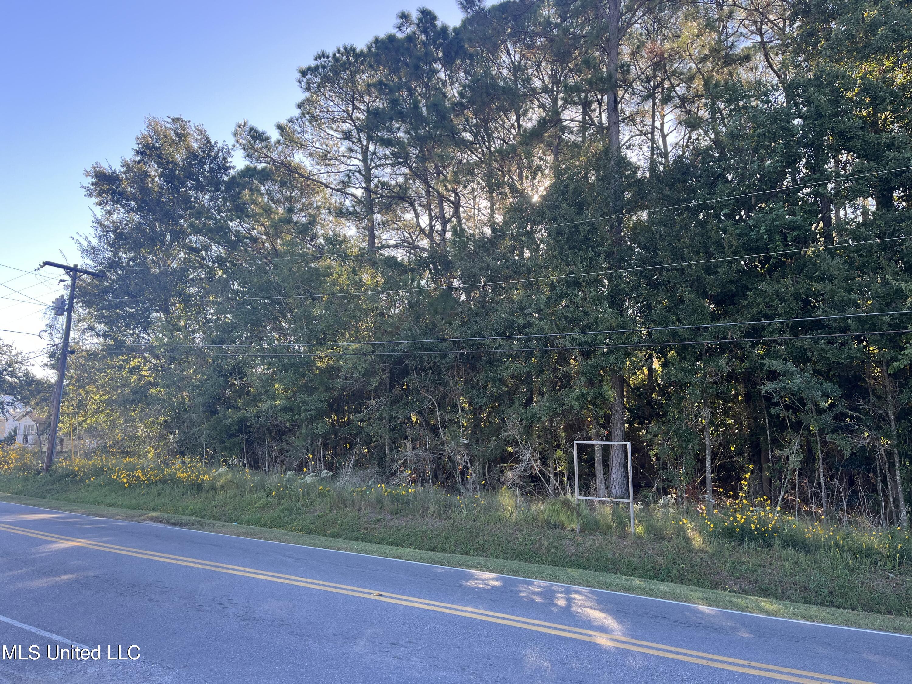 Nathan Hale Avenue Property Photo 4