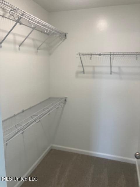 1789 Caribe Drive Property Photo 27