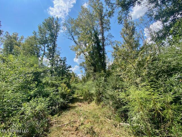 Quinlivan Rd Property Photo 16