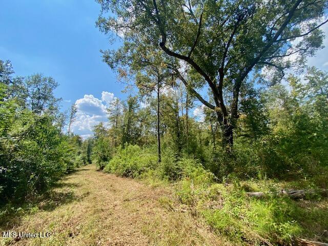 Quinlivan Rd Property Photo 19