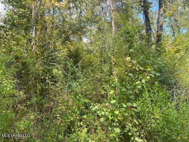 Quinlivan Rd Property Photo 22