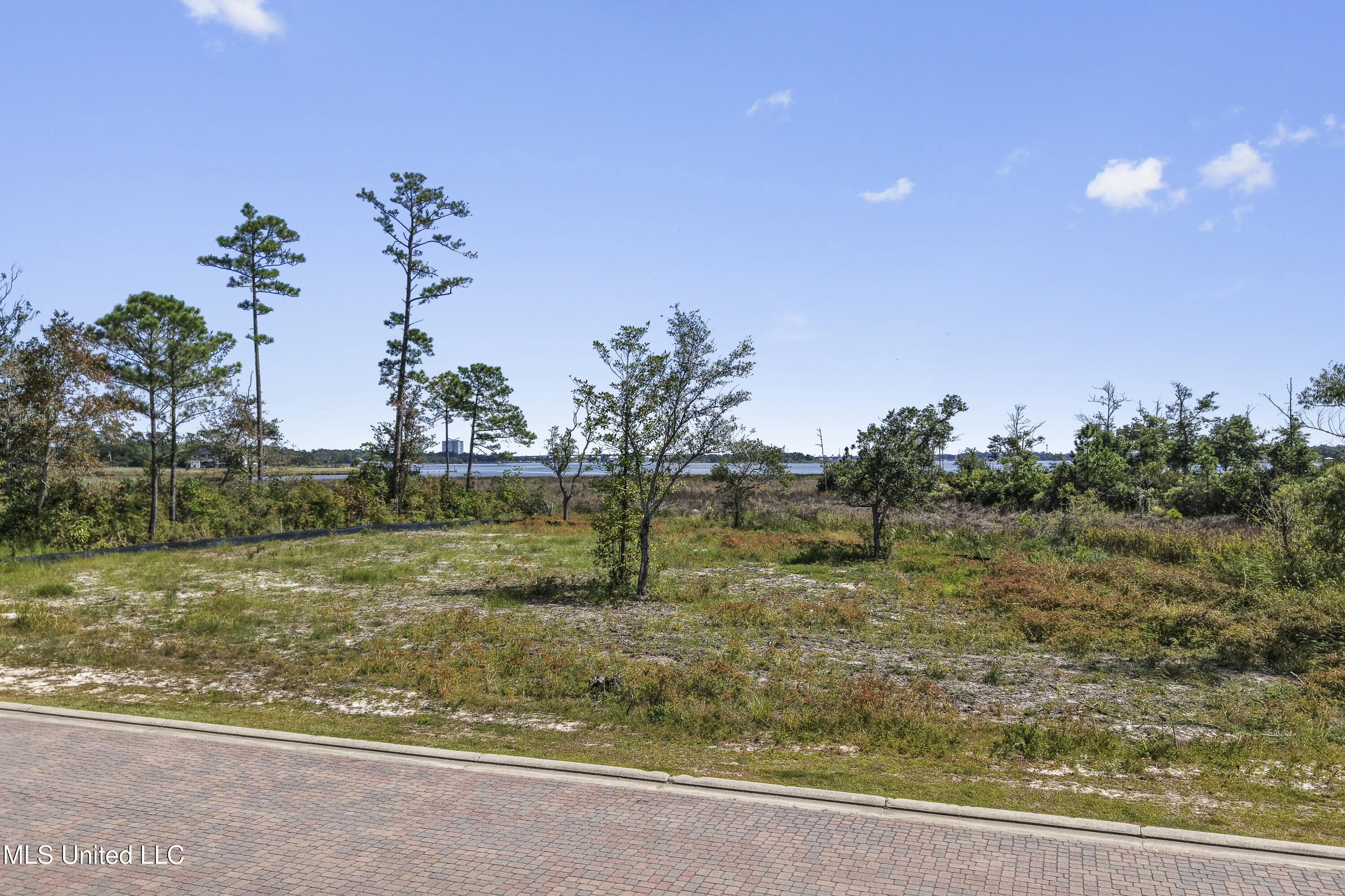 Destiny Plantation Boulevard Property Photo 7