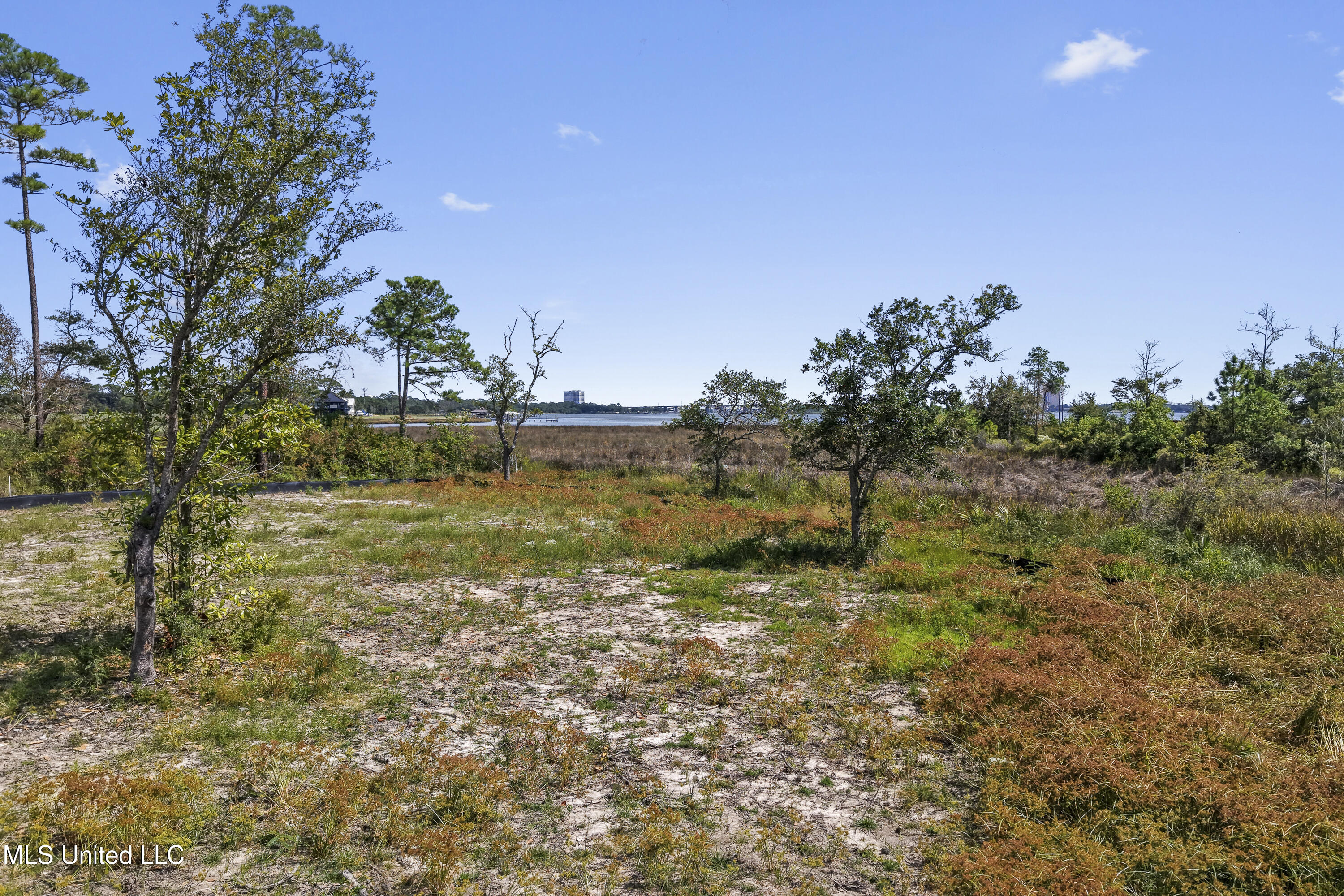 Destiny Plantation Boulevard Property Photo 11