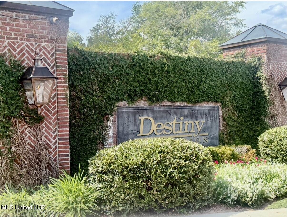 Destiny Plantation Boulevard Property Photo 38