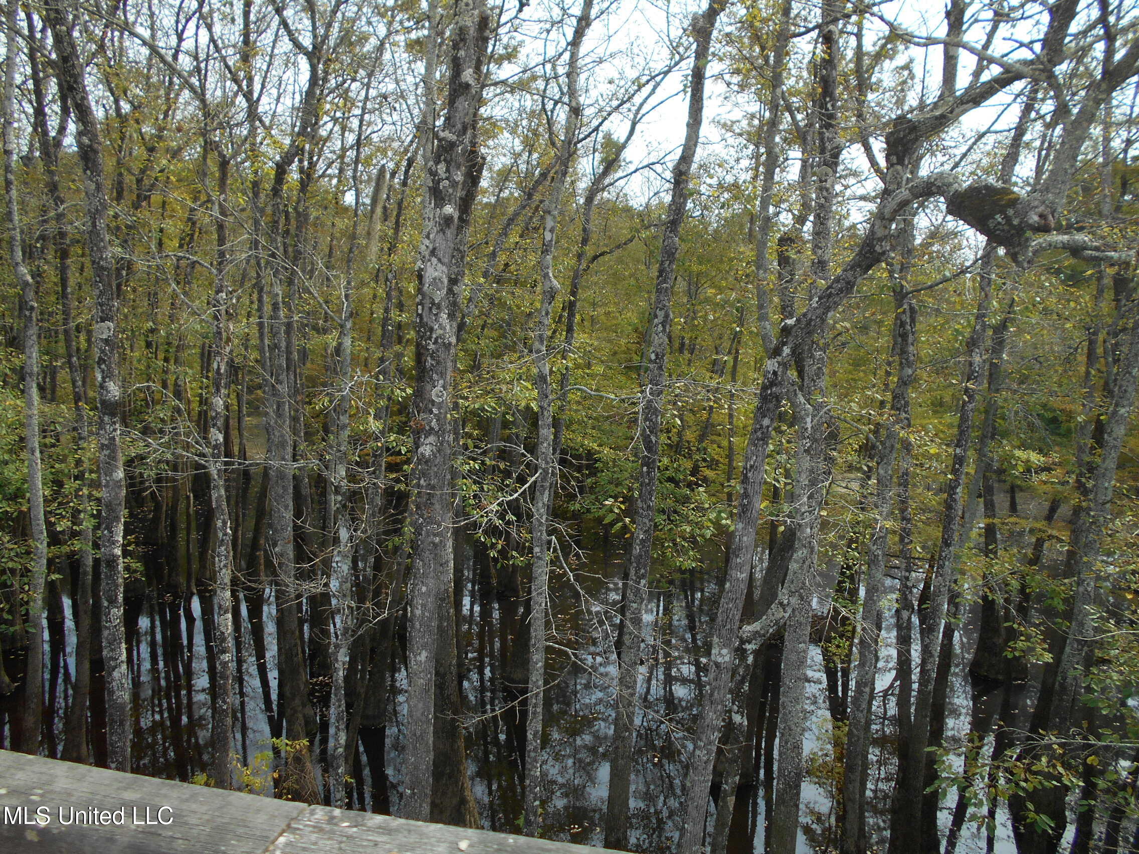 00 E Highway 84 Property Photo 2