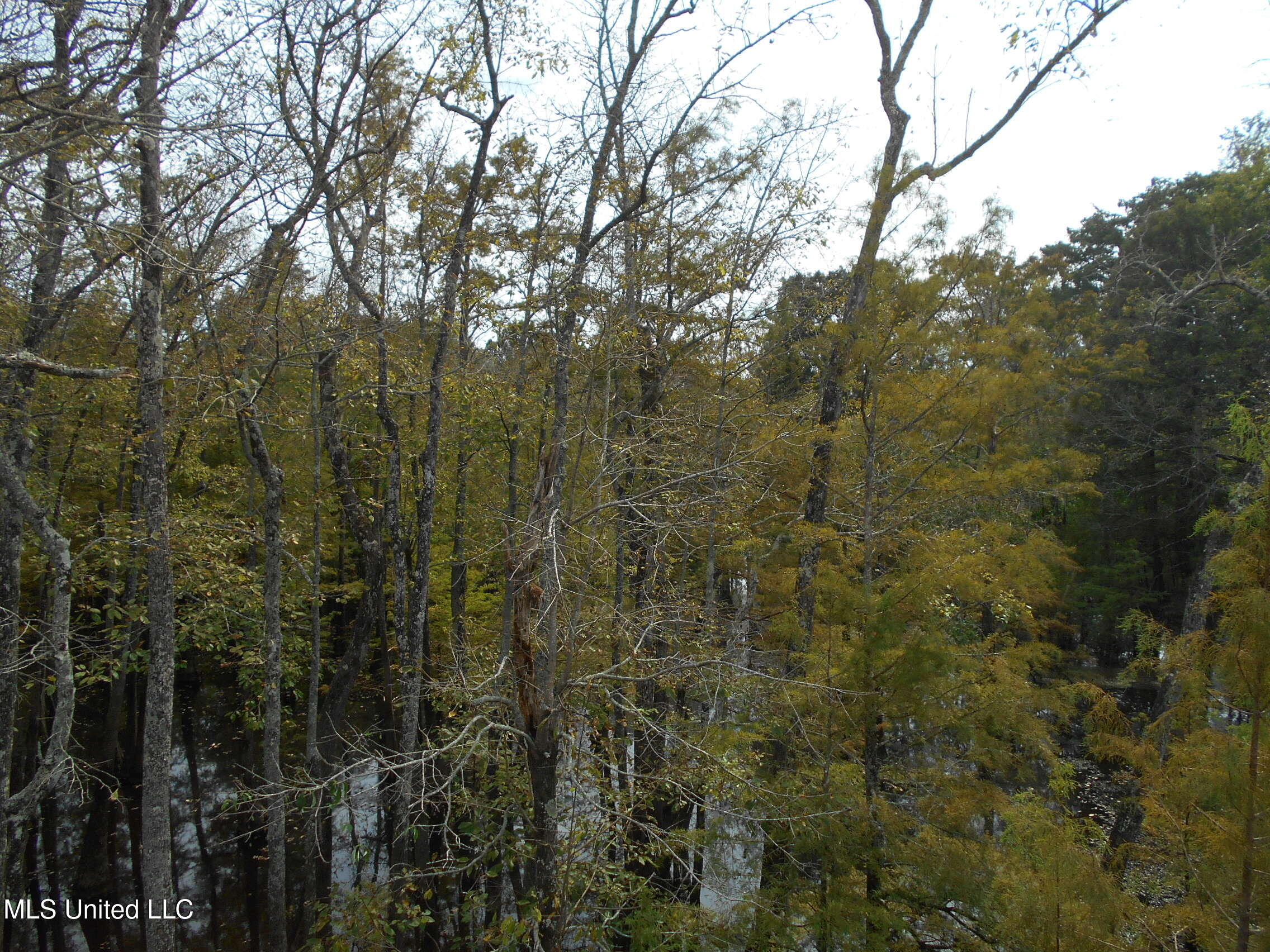 00 E Highway 84 Property Photo 3