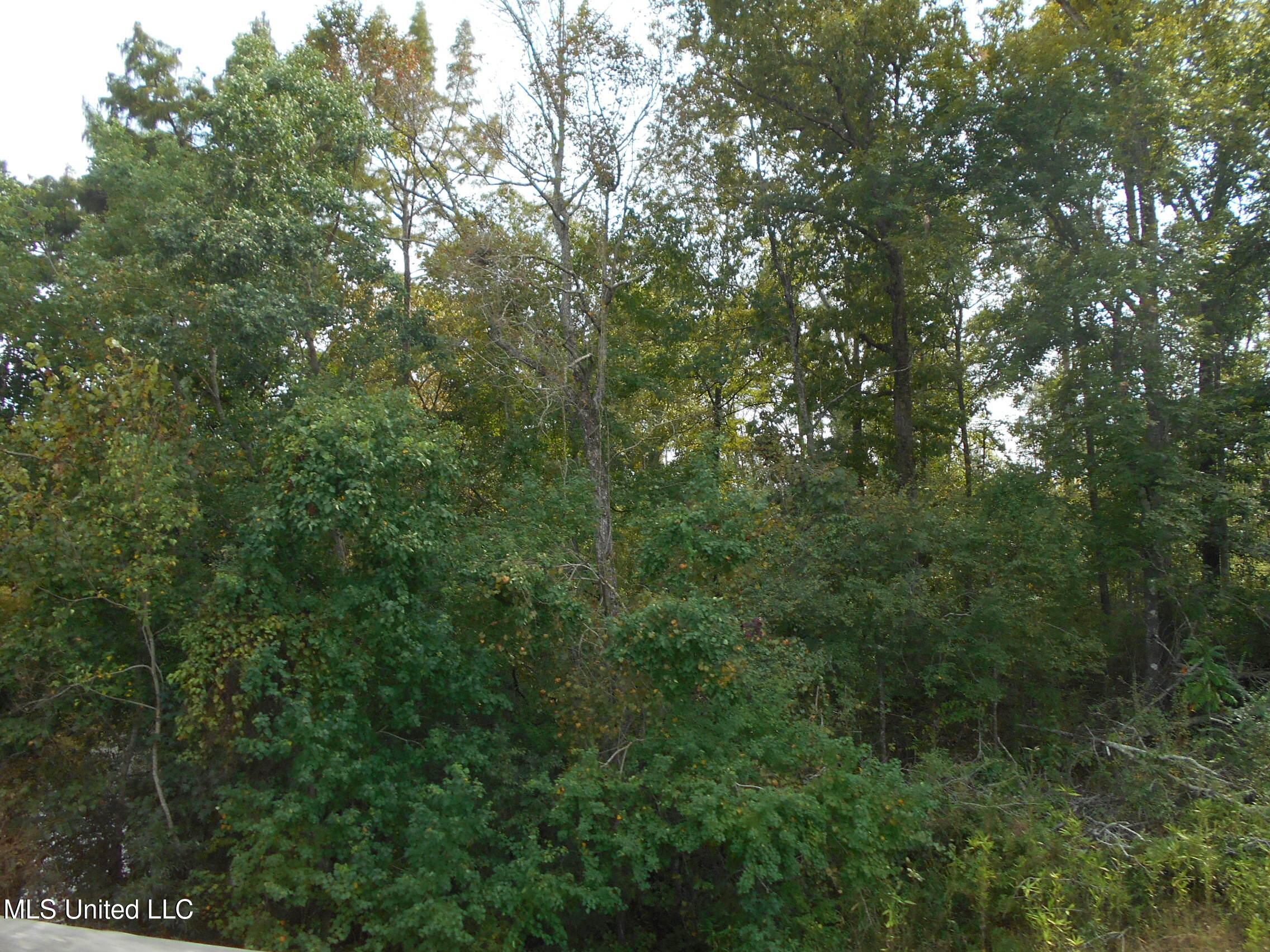 00 E Highway 84 Property Photo 4